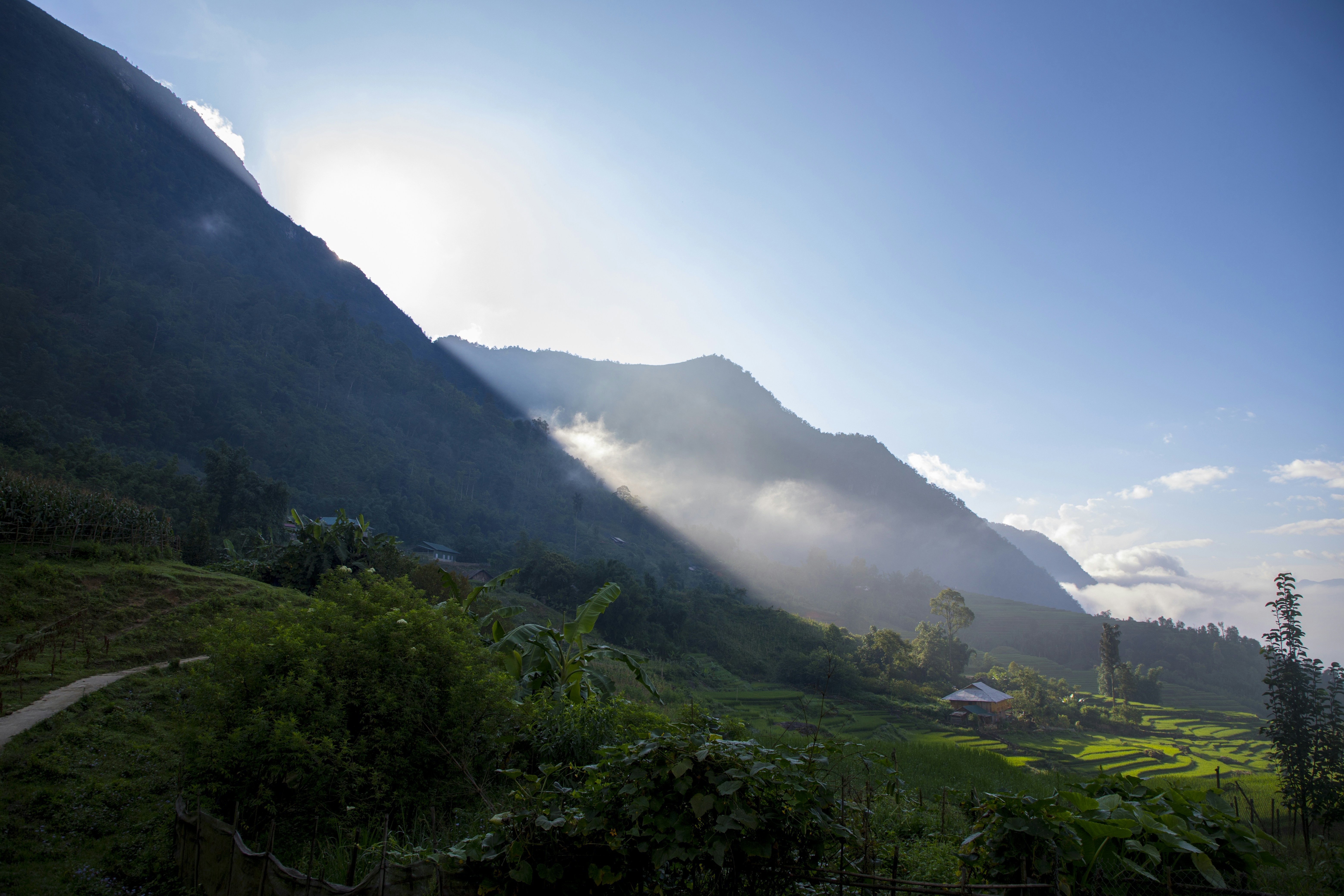 Photo by bahr_splash