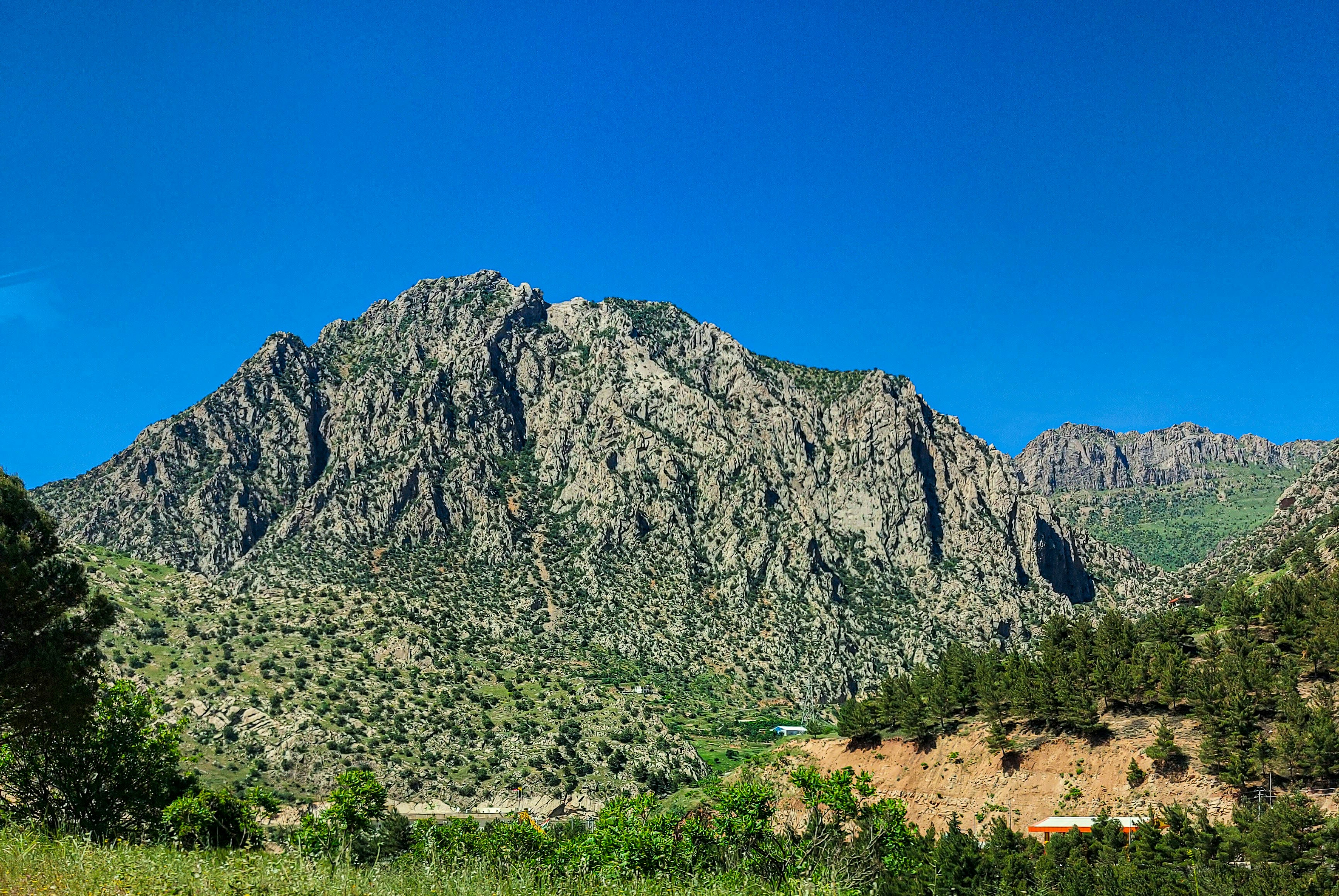 Photo by iraqienkidu