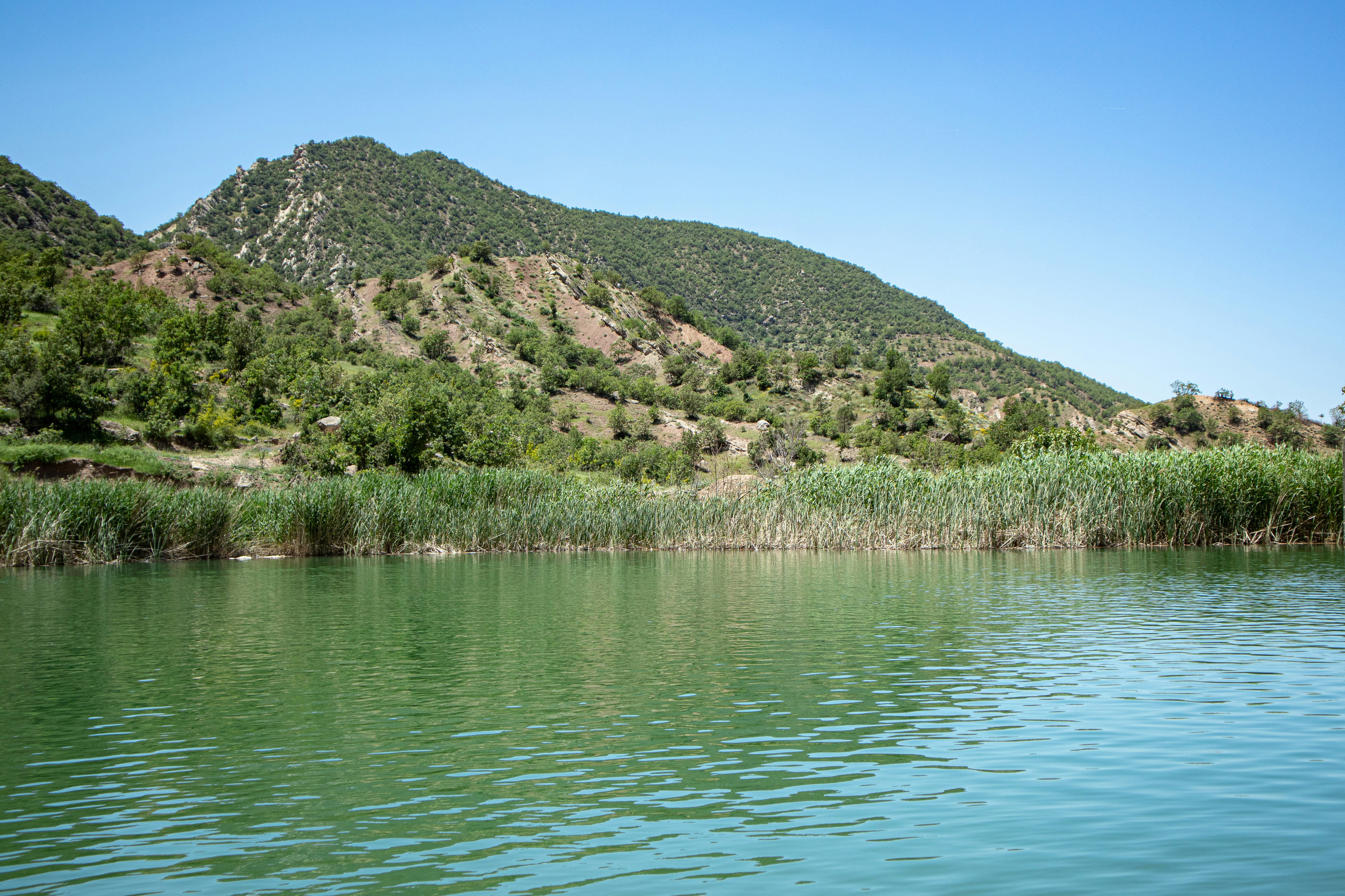 Photo by iraqienkidu