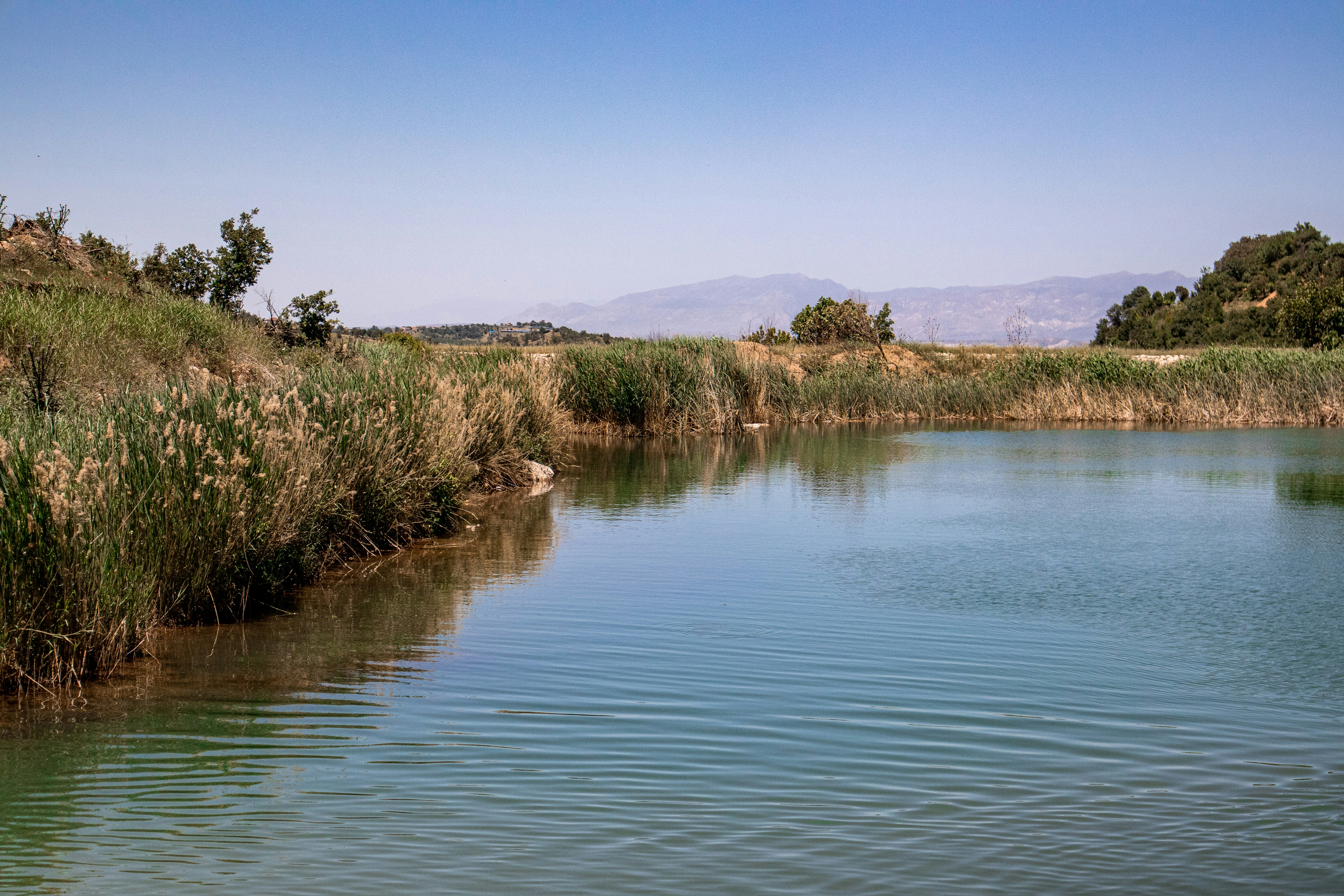 Photo by iraqienkidu