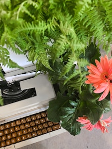 a typewriter sitting next to a potted plant