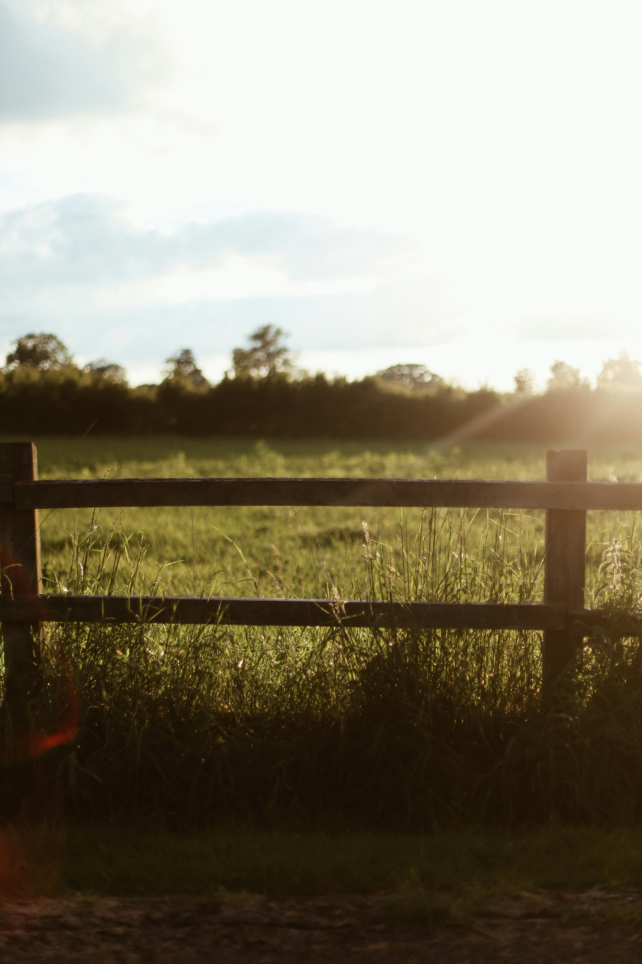 Photo by jessicalfadel