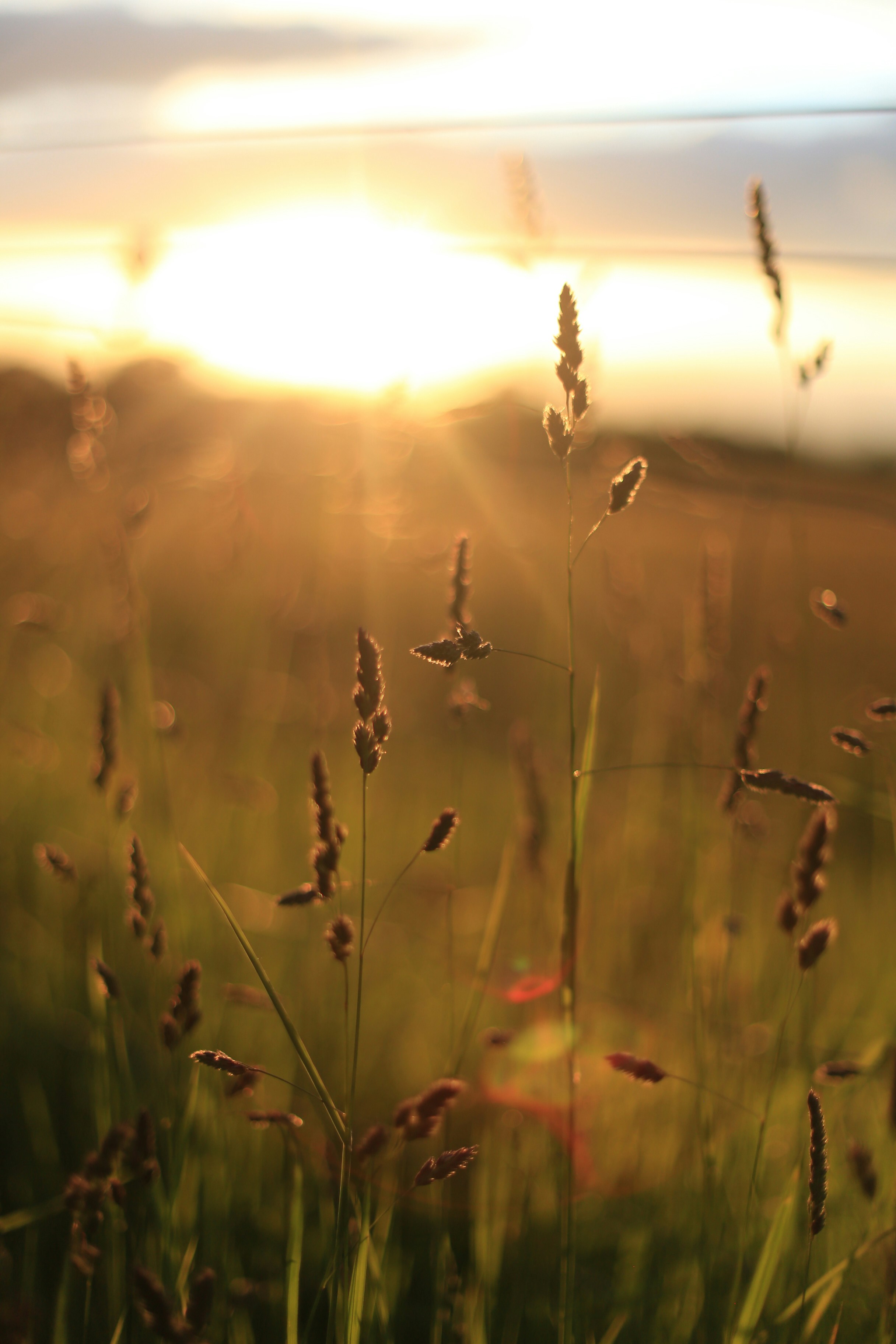 Photo by jessicalfadel