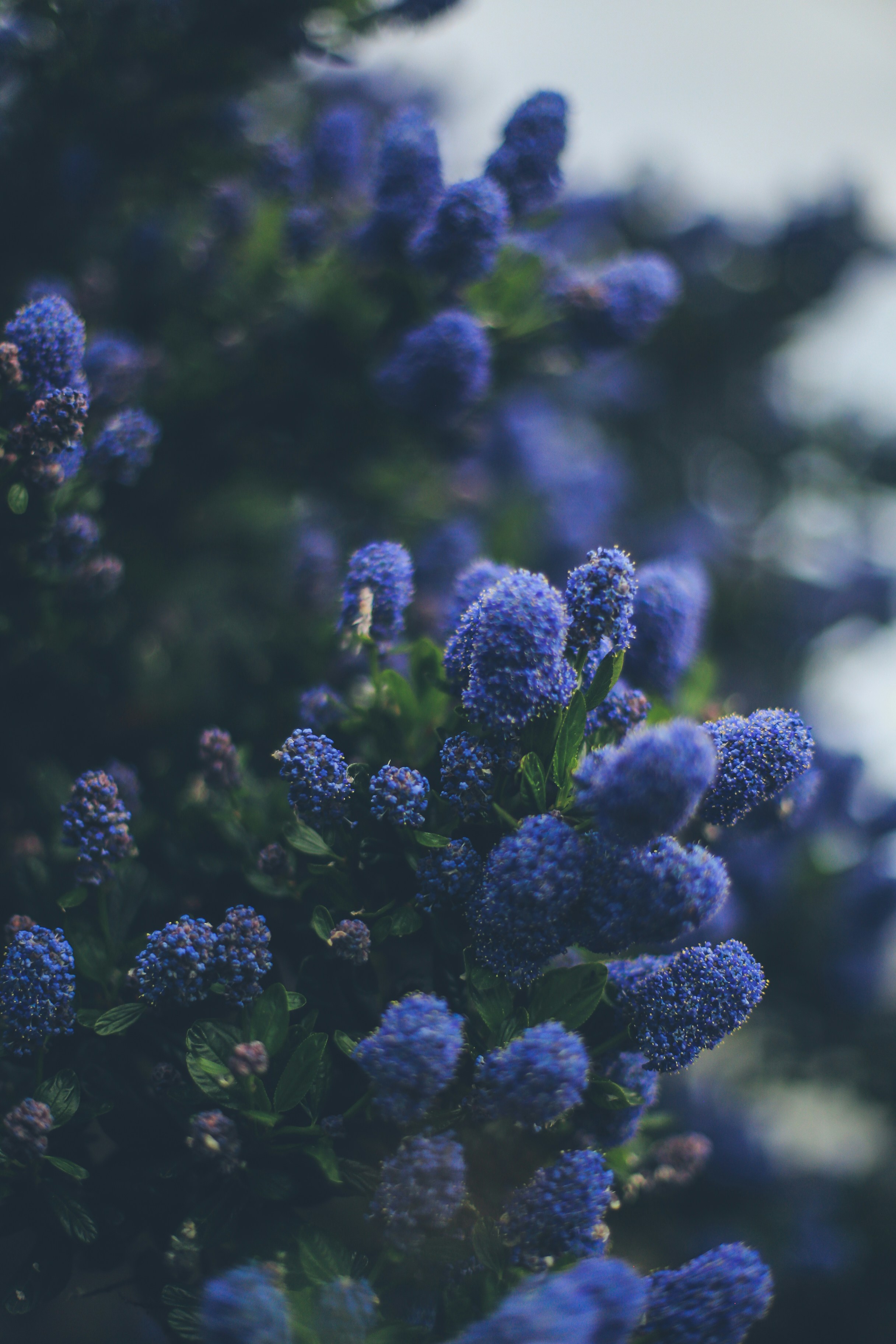 Photo by jessicalfadel