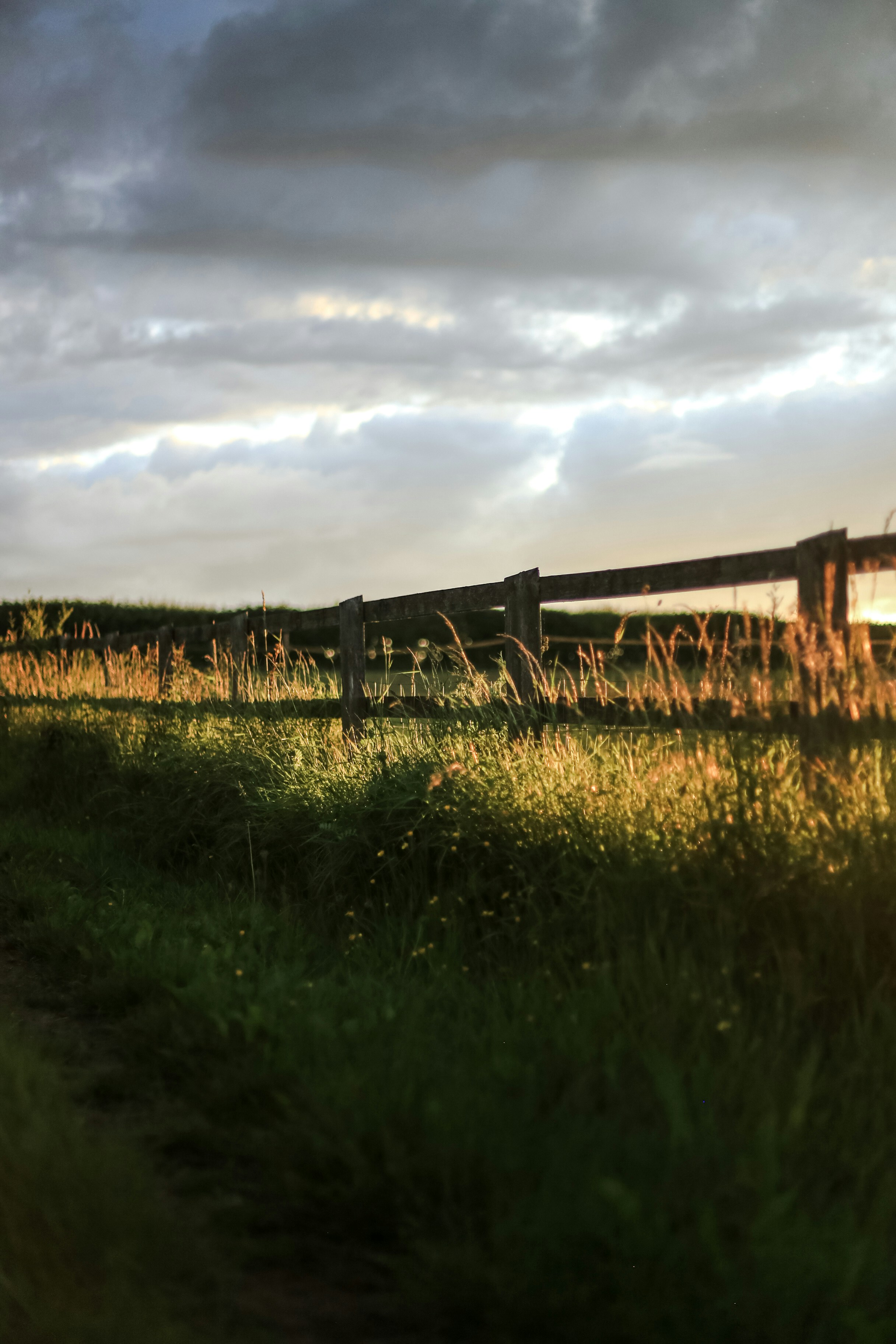 Photo by jessicalfadel