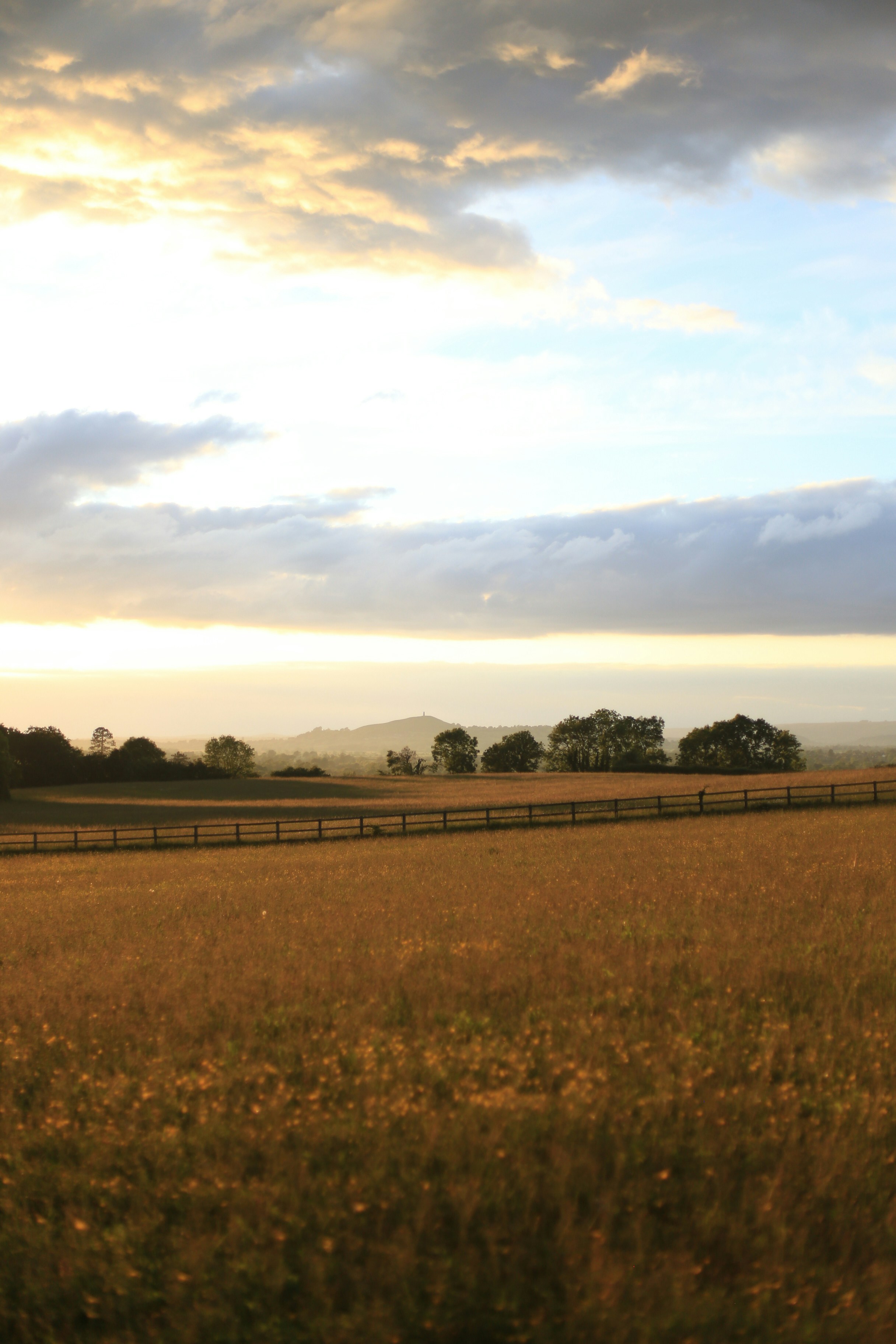 Photo by jessicalfadel