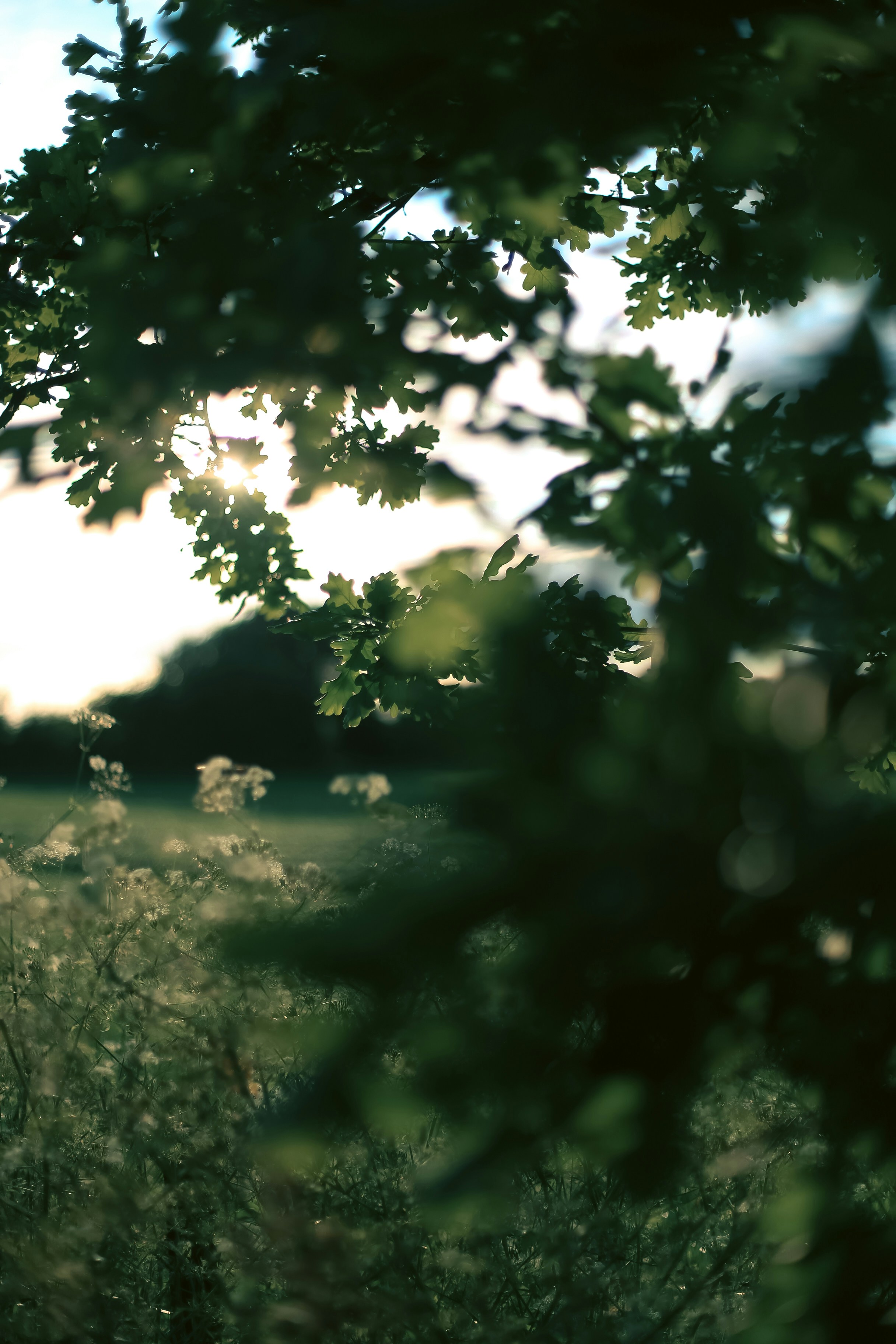 Photo by jessicalfadel