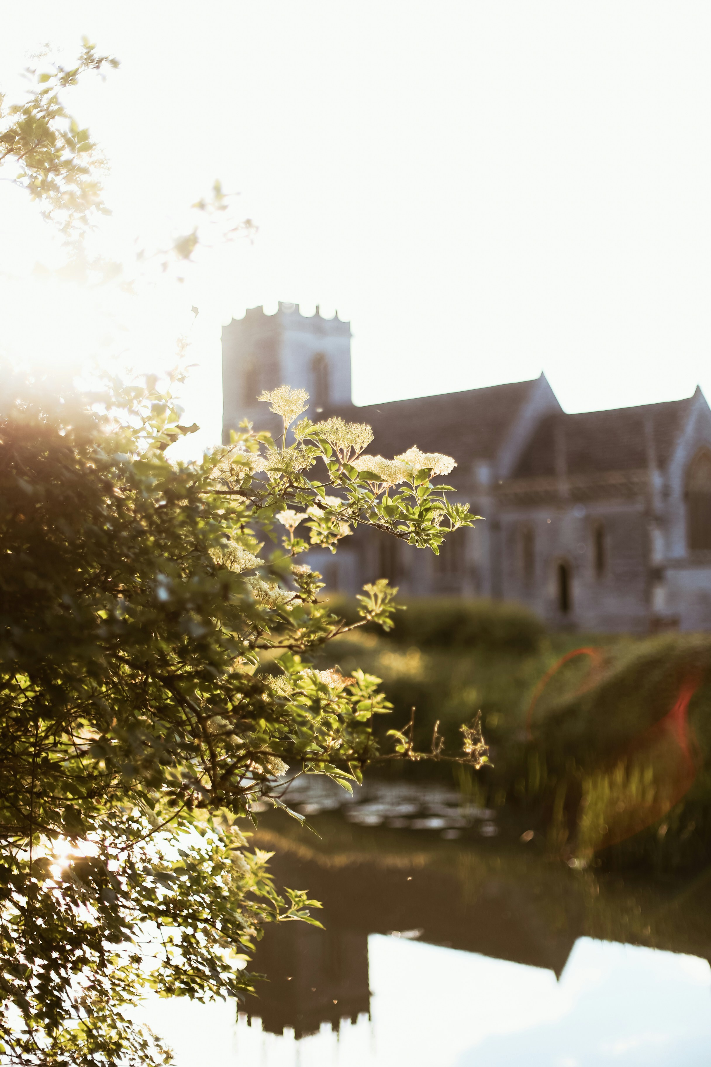 Photo by jessicalfadel