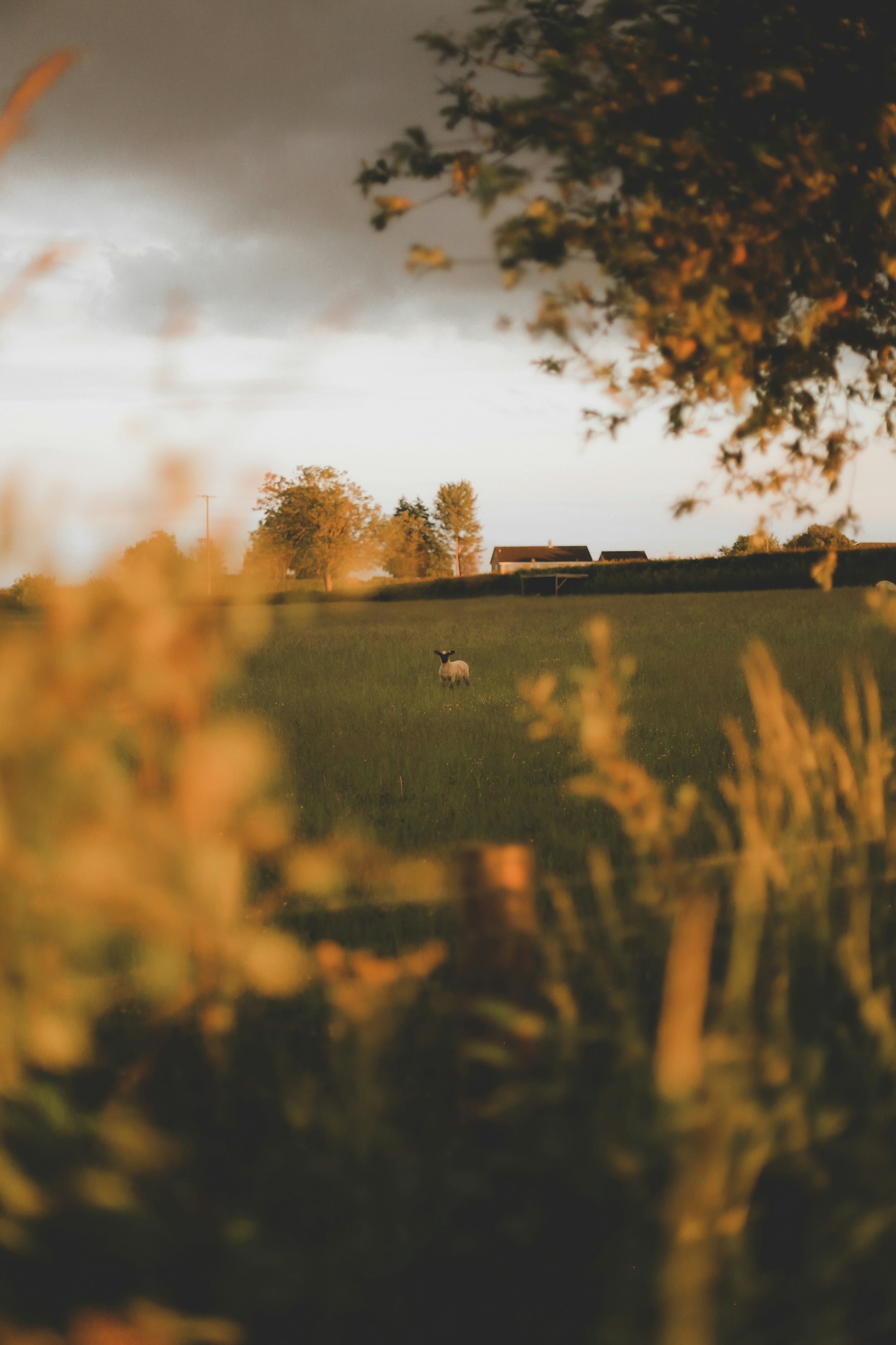 Photo by jessicalfadel