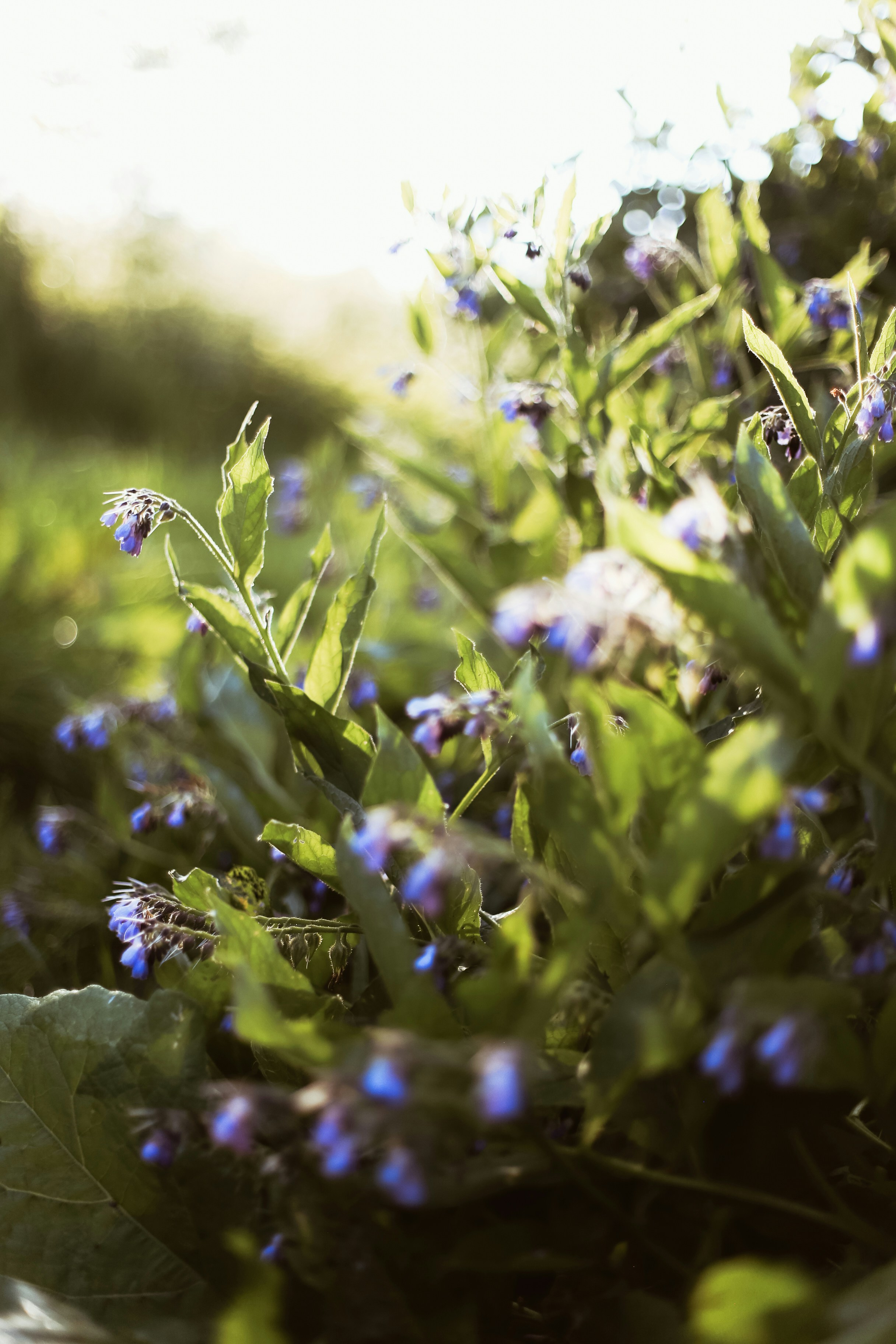 Photo by jessicalfadel