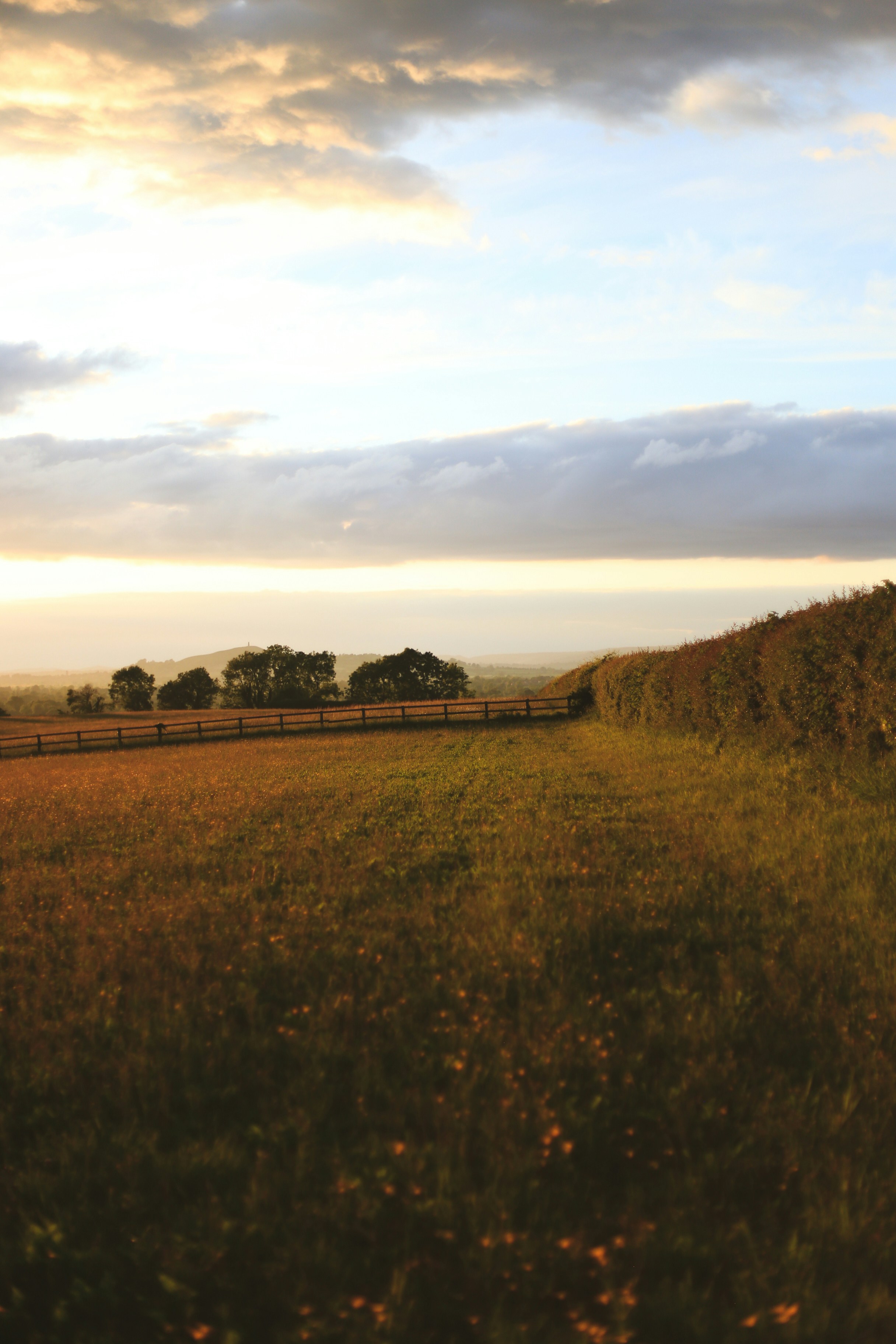 Photo by jessicalfadel