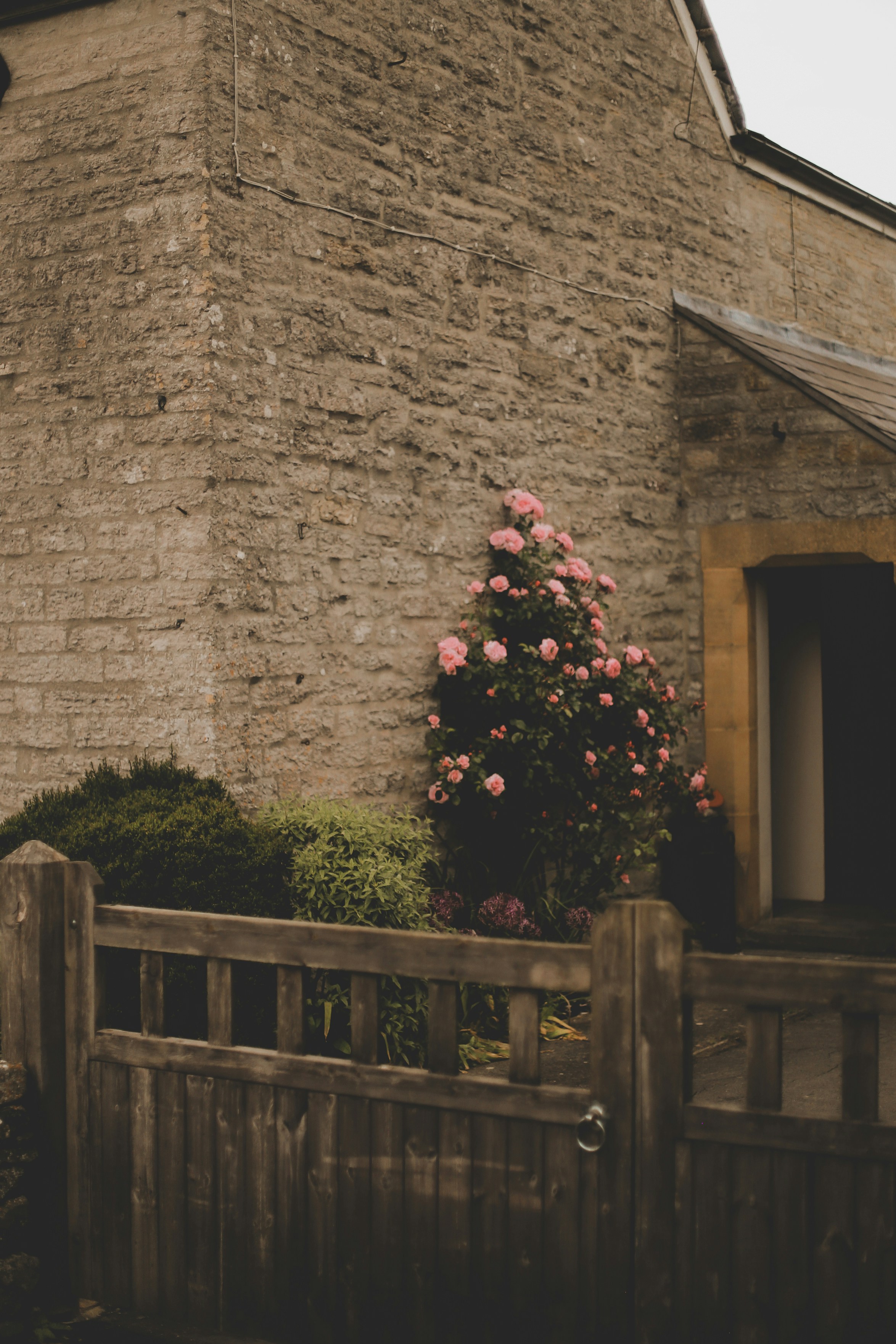 Photo by jessicalfadel