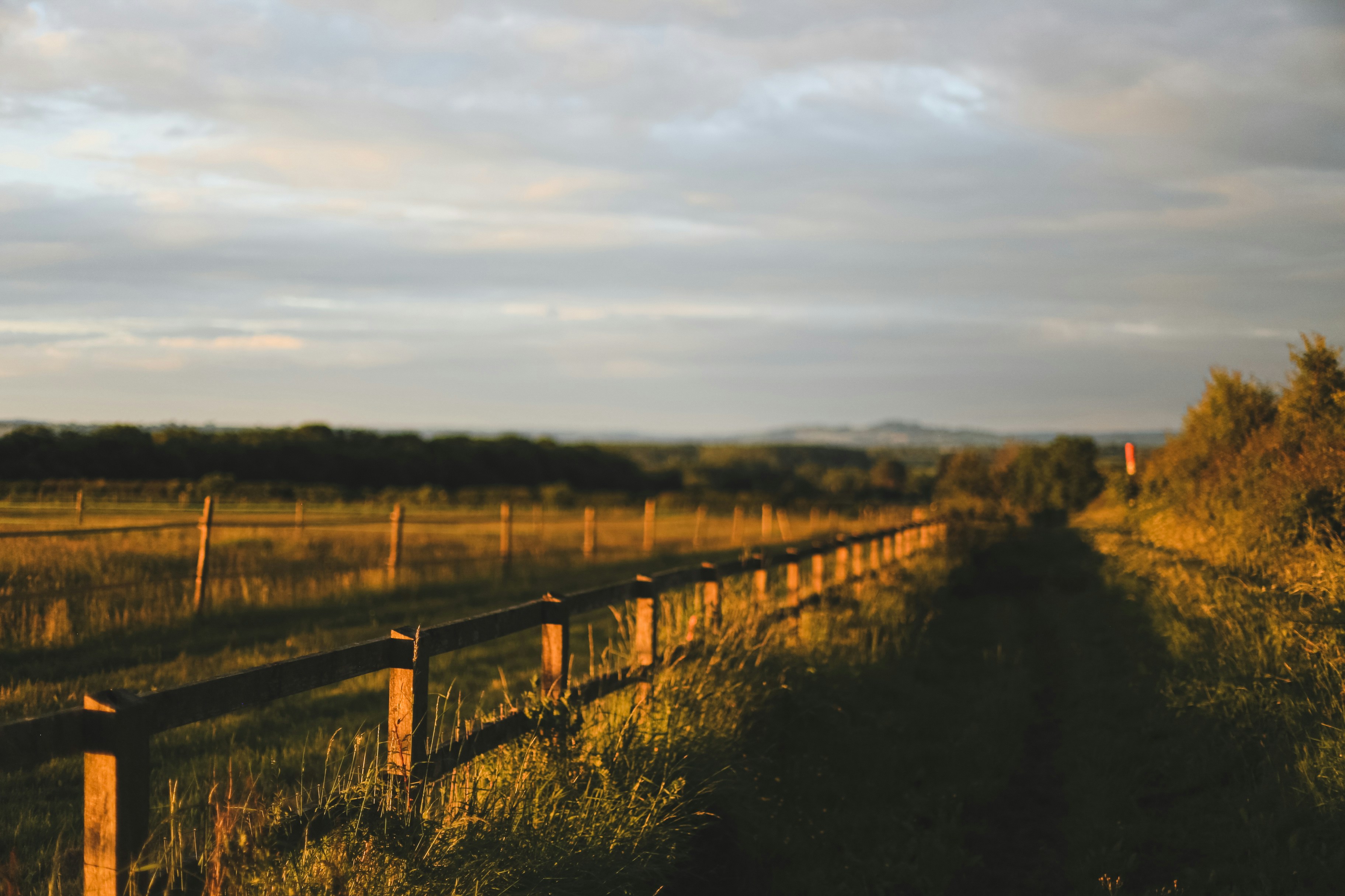 Photo by jessicalfadel