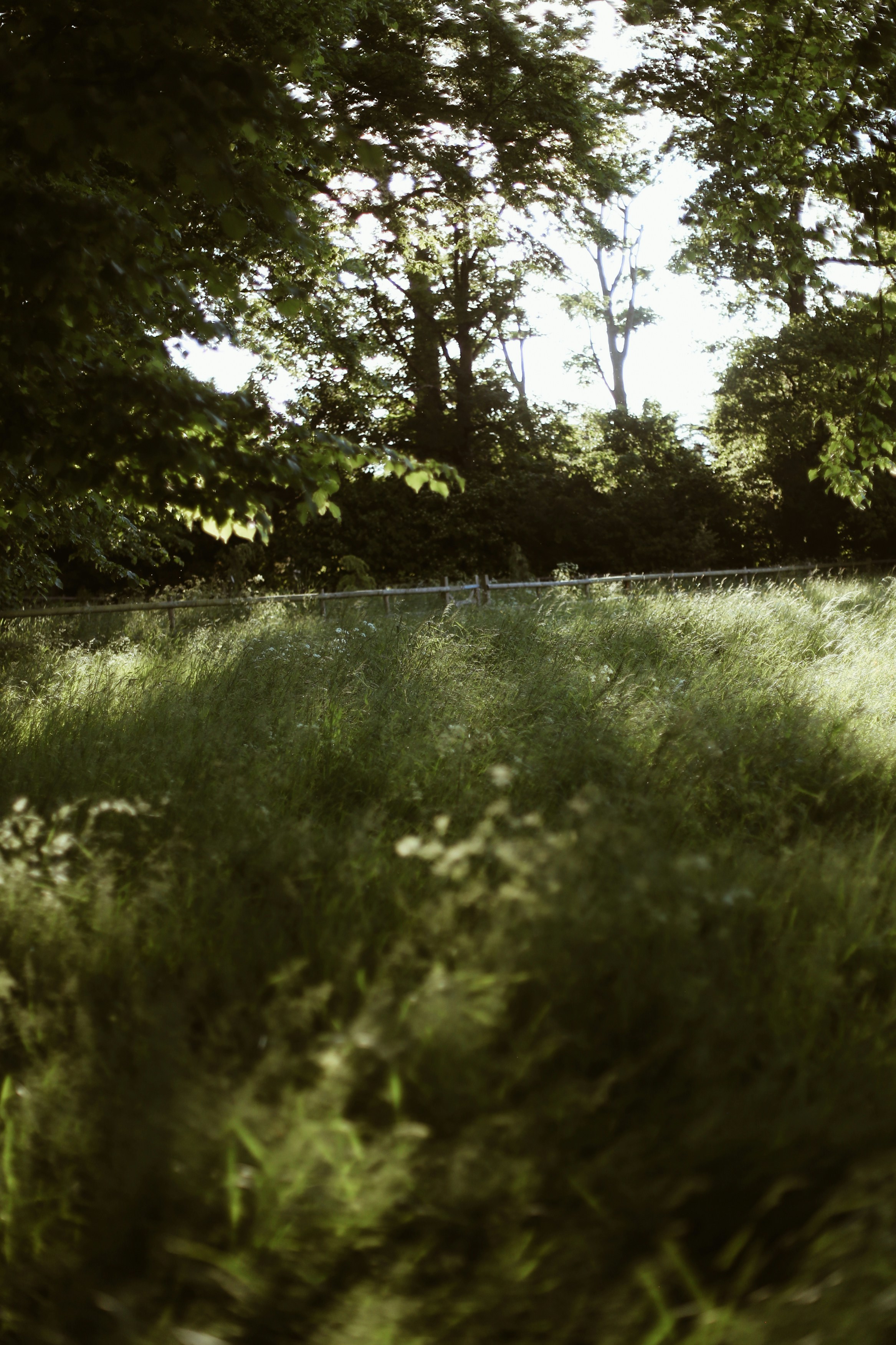 Photo by jessicalfadel