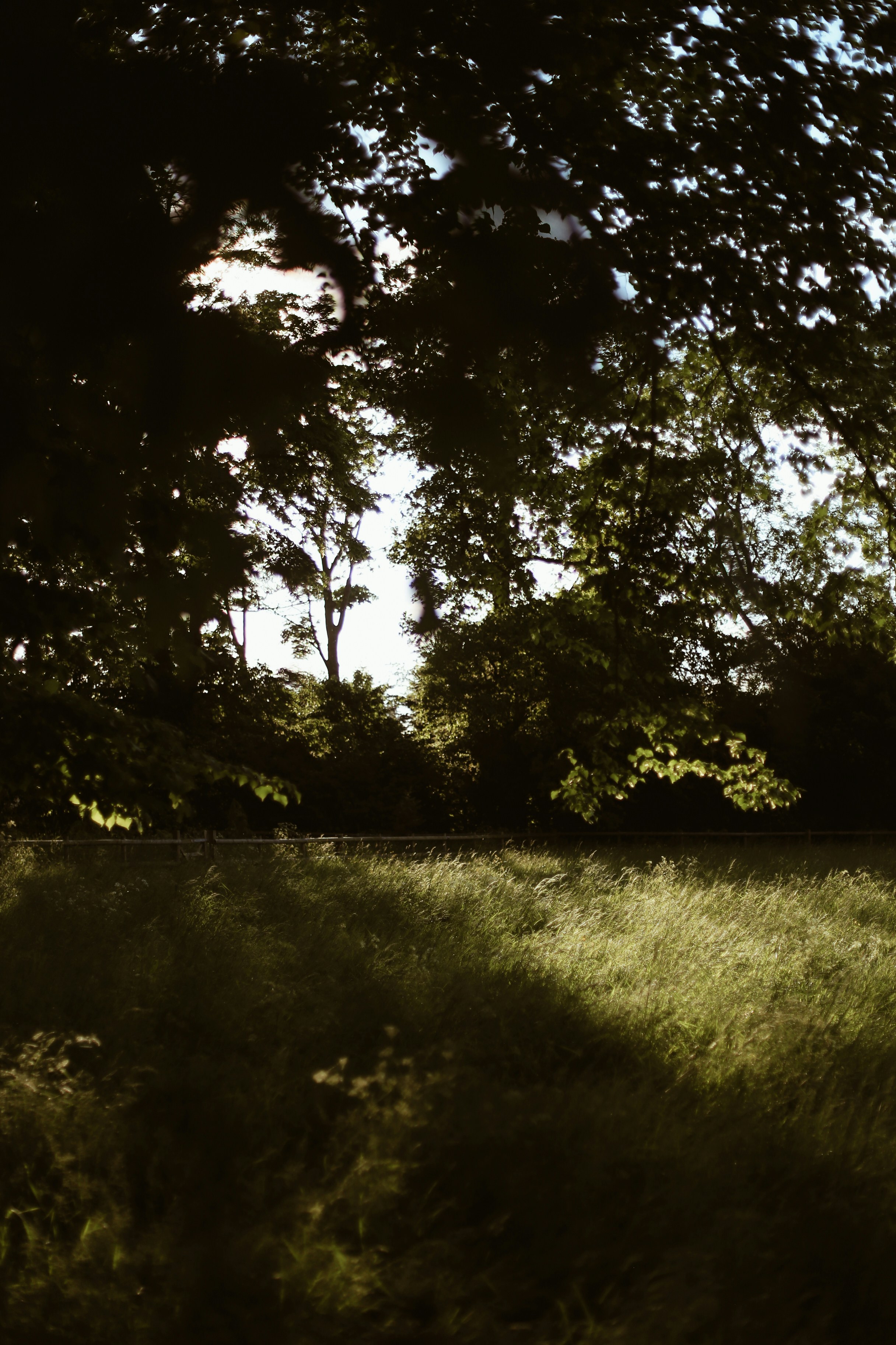 Photo by jessicalfadel