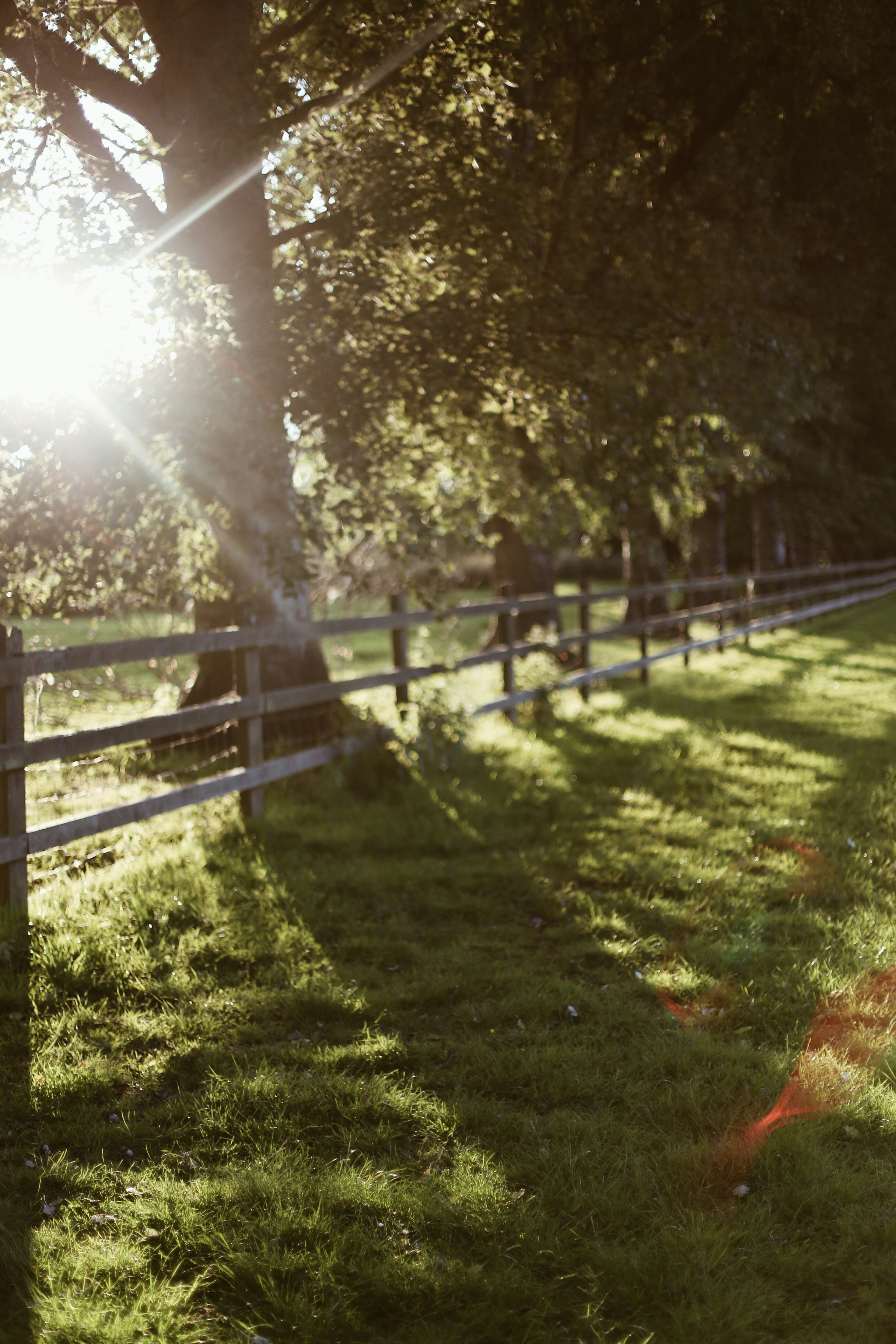 Photo by jessicalfadel