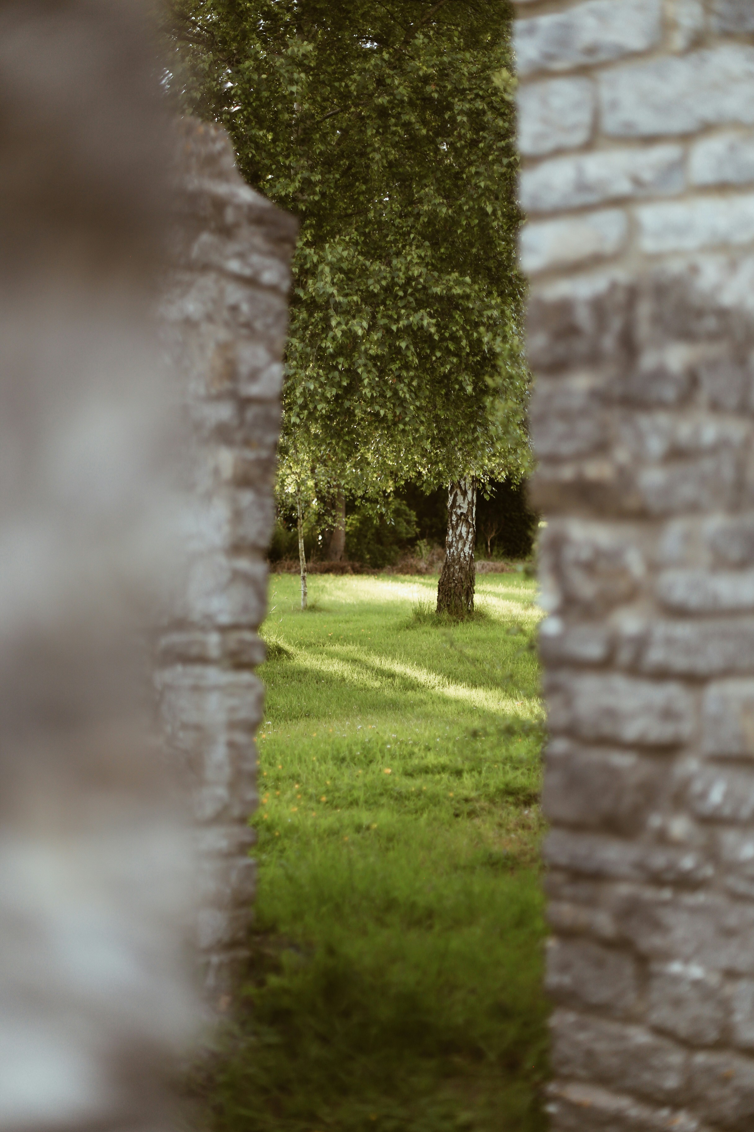 Photo by jessicalfadel