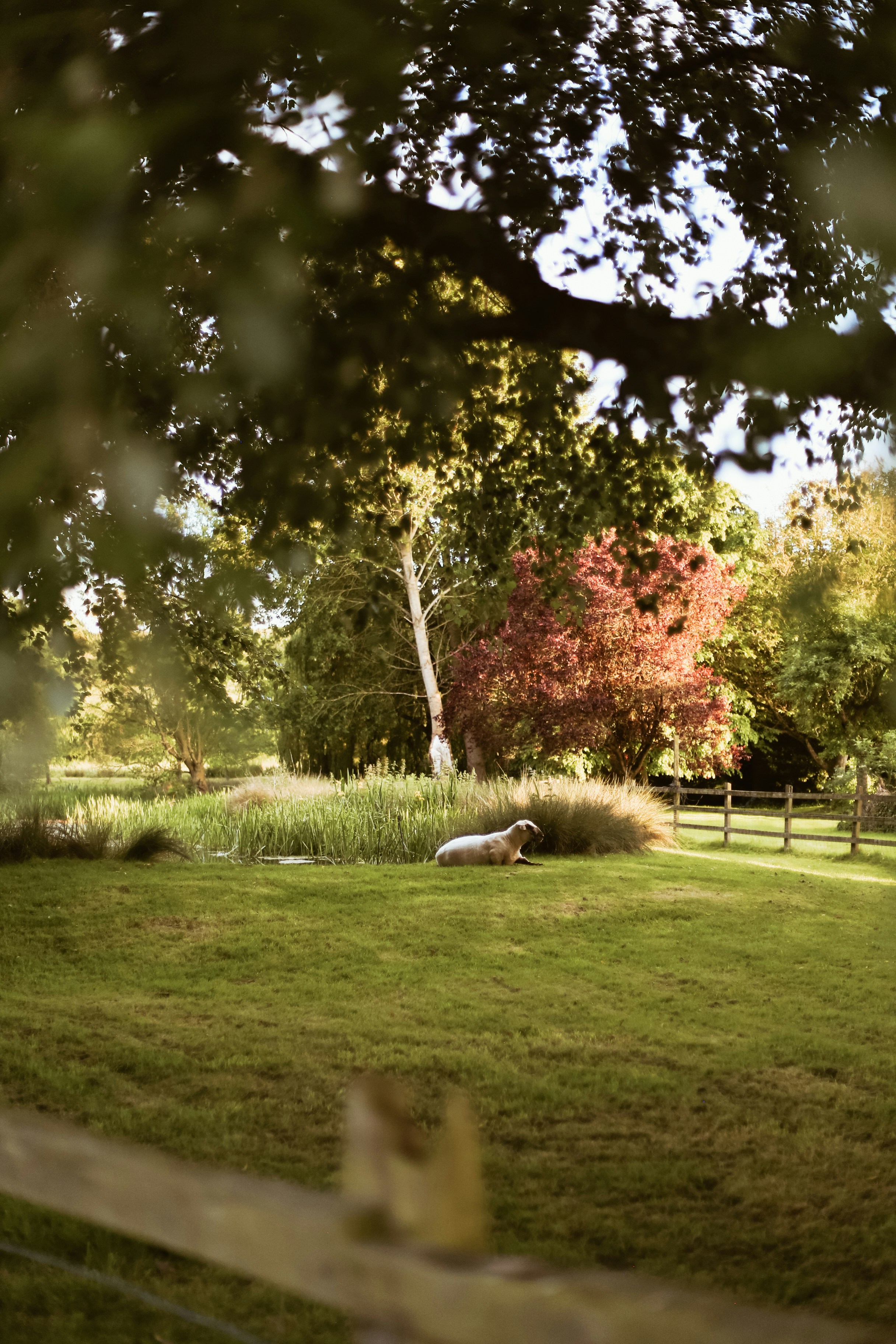 Photo by jessicalfadel