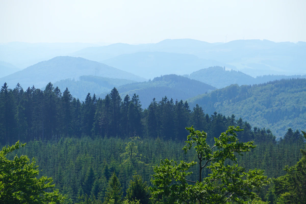 Waldreiche Höhenzüge im Sauerland, Blick vom Turm auf dem Kahler Asten