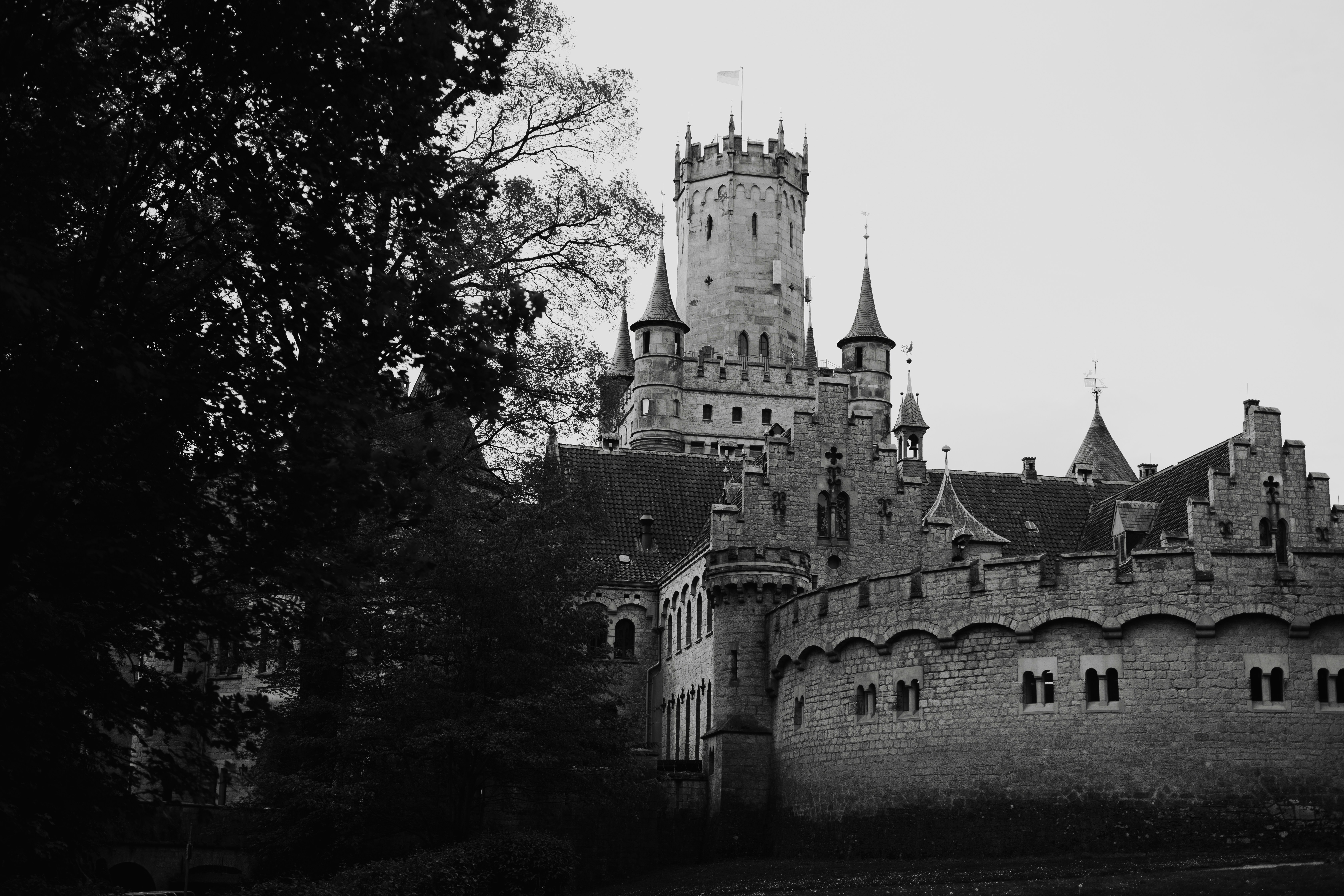 Photo by filipp_roman_photography