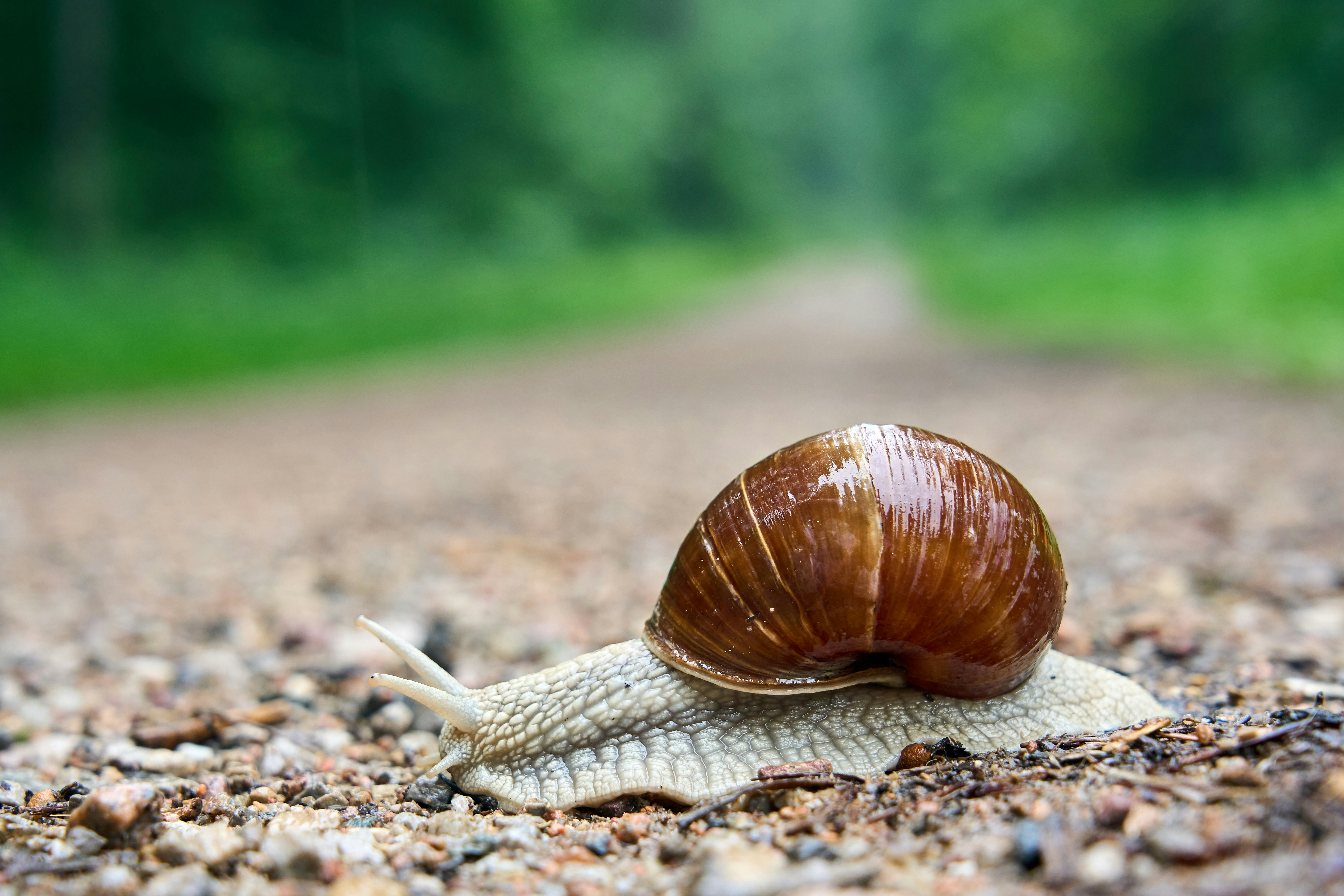 Photo by wolfgang_hasselmann