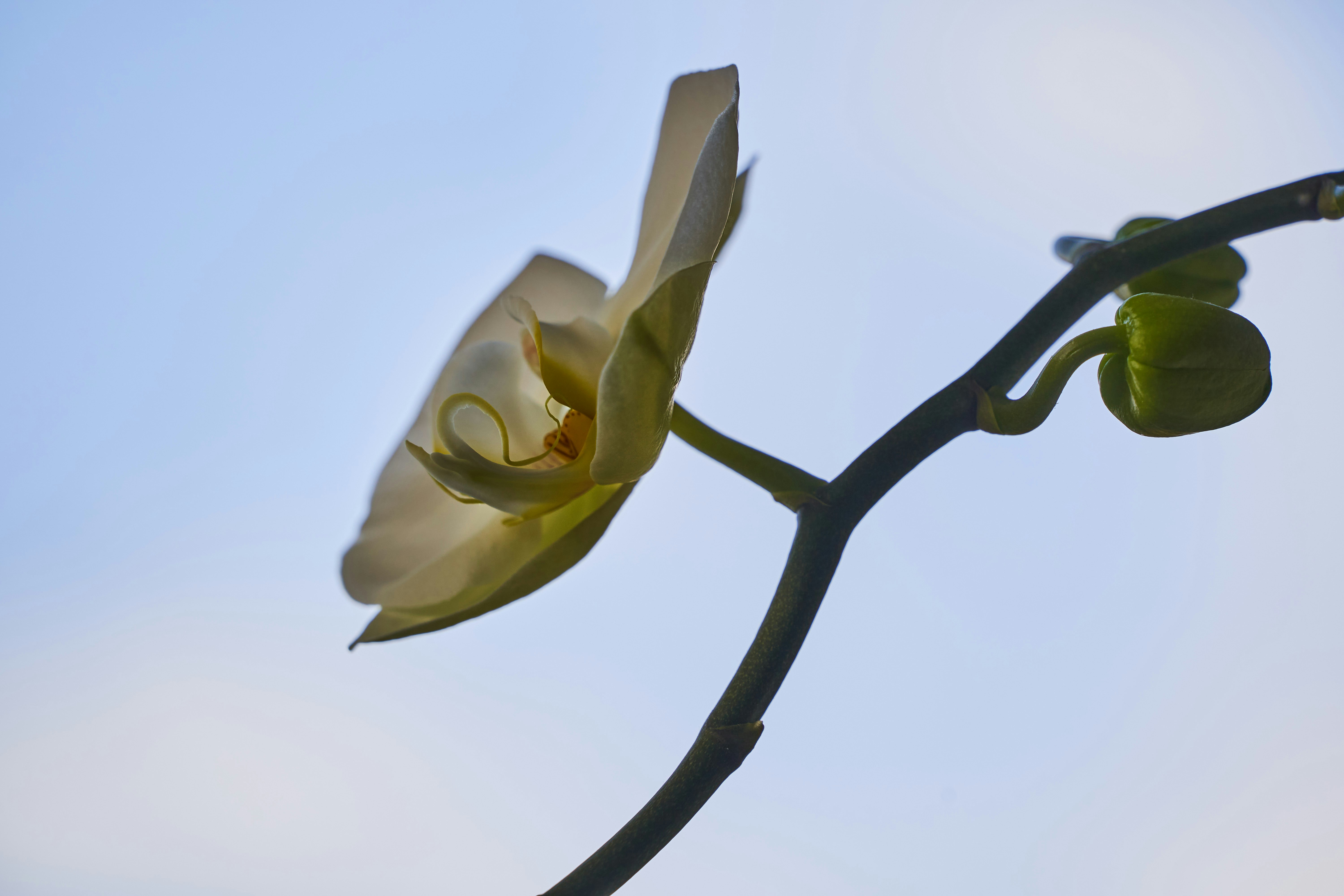 Photo by wolfgang_hasselmann