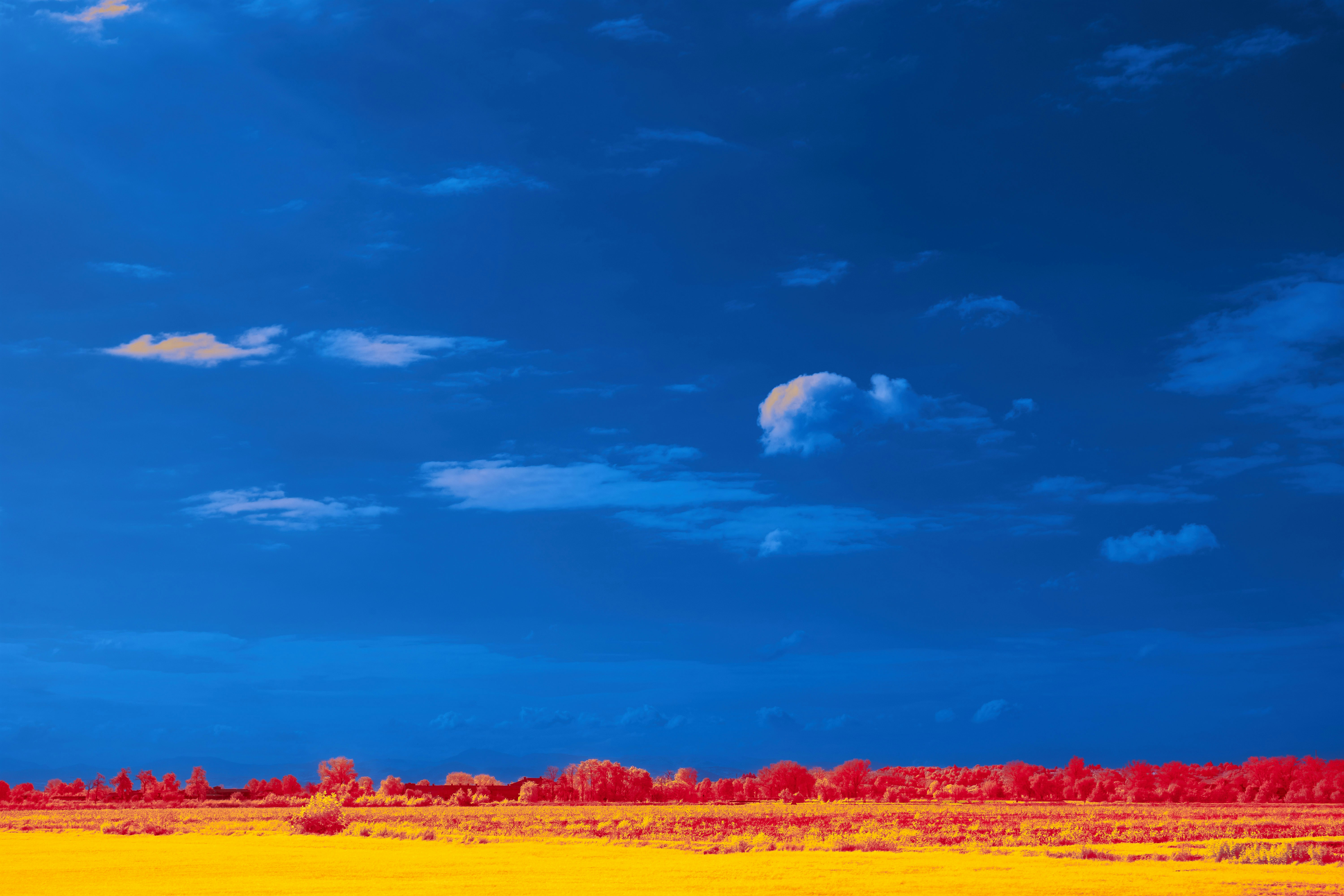 Photo by wolfgang_hasselmann