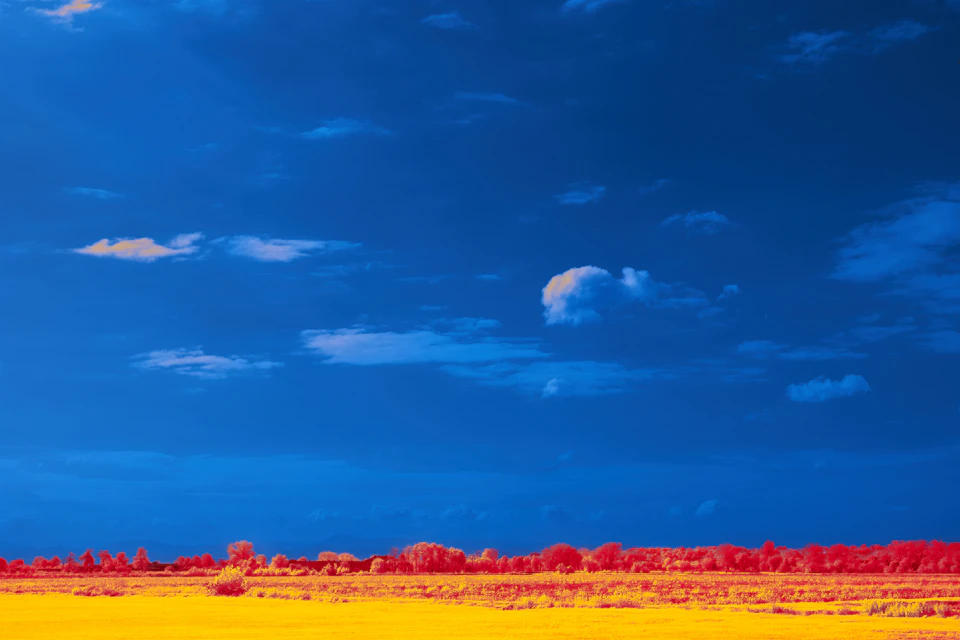 The image depicts a serene landscape with a vast, open field stretching out into the distance under a clear blue sky dotted with fluffy white clouds. The field is bathed in warm hues of yellow and orange, creating a striking contrast against the cool tones of the sky. In the foreground, there are trees that add depth to the scene, their green foliage providing a sense of scale and perspective.