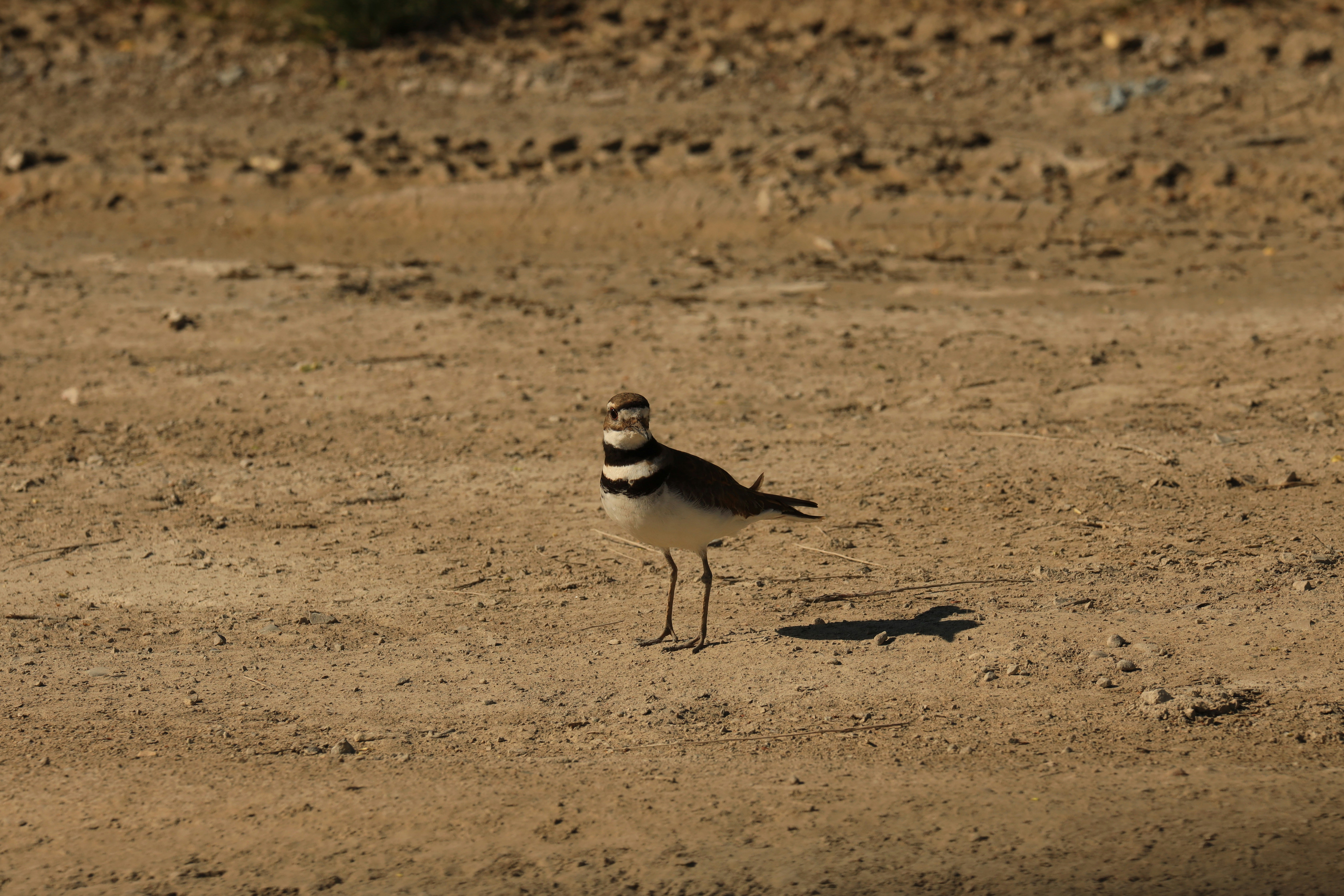 Photo by richardworks