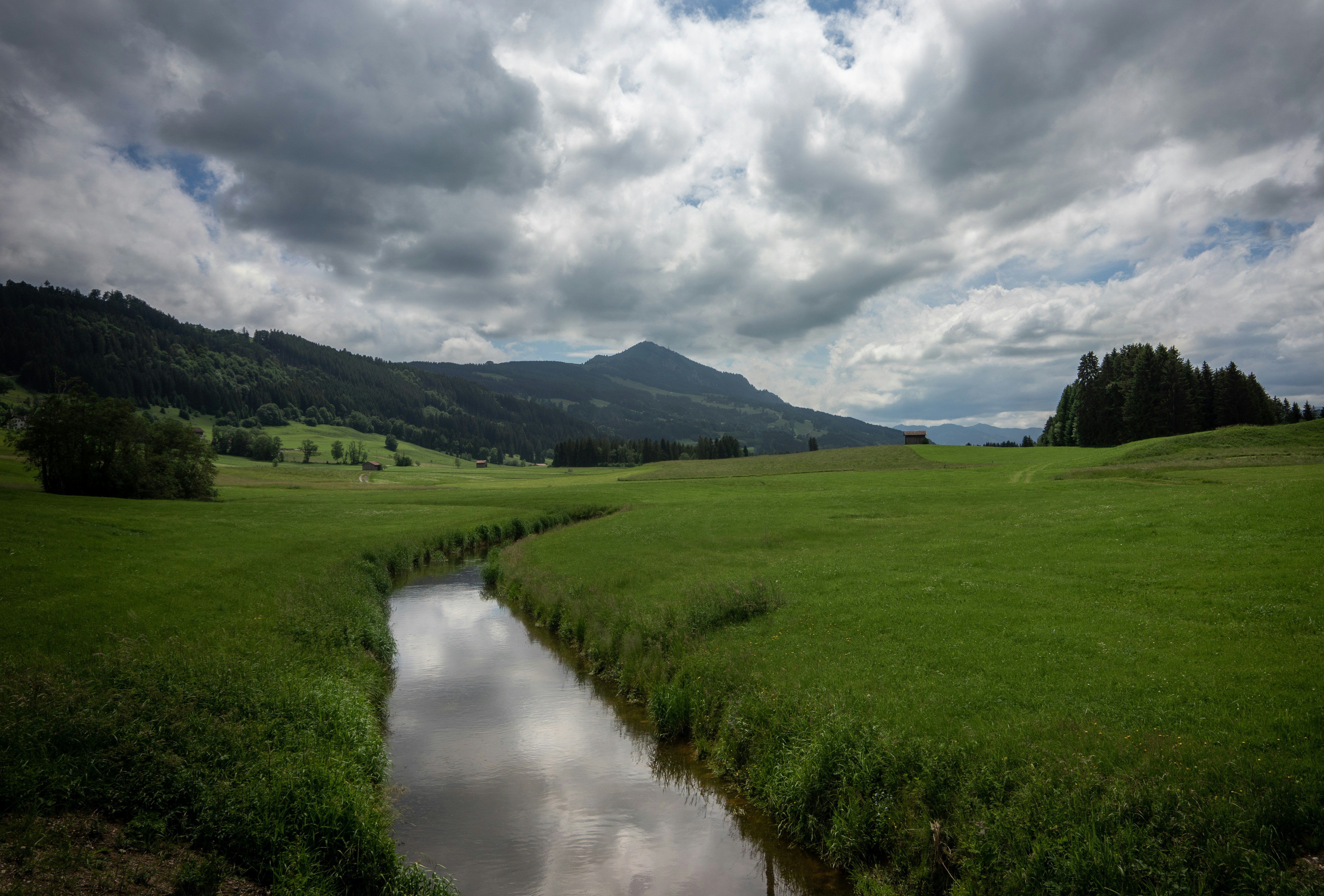 Ein Fluss, der durch ein üppiges grünes Feld fließt