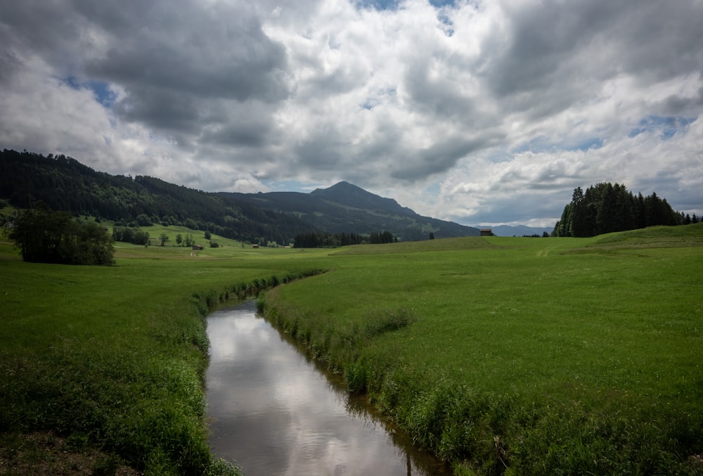 a river running through a lush green field