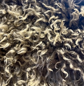 A close-up view of wavy and textured fibers, resembling wool or curly hair with a mix of light and dark tones.