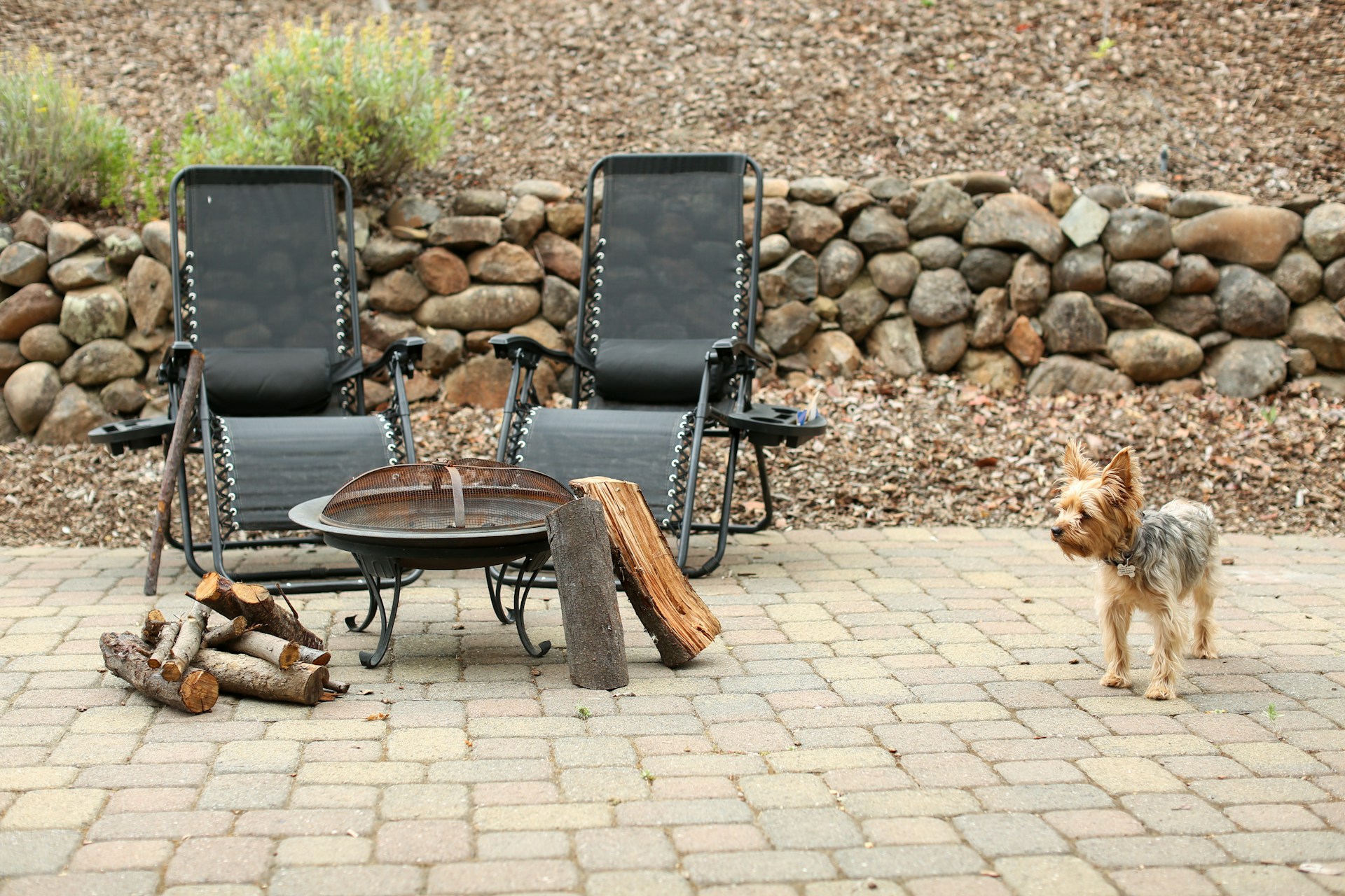 Decatur backyard with paver patio, fire pit, and lush native plantings