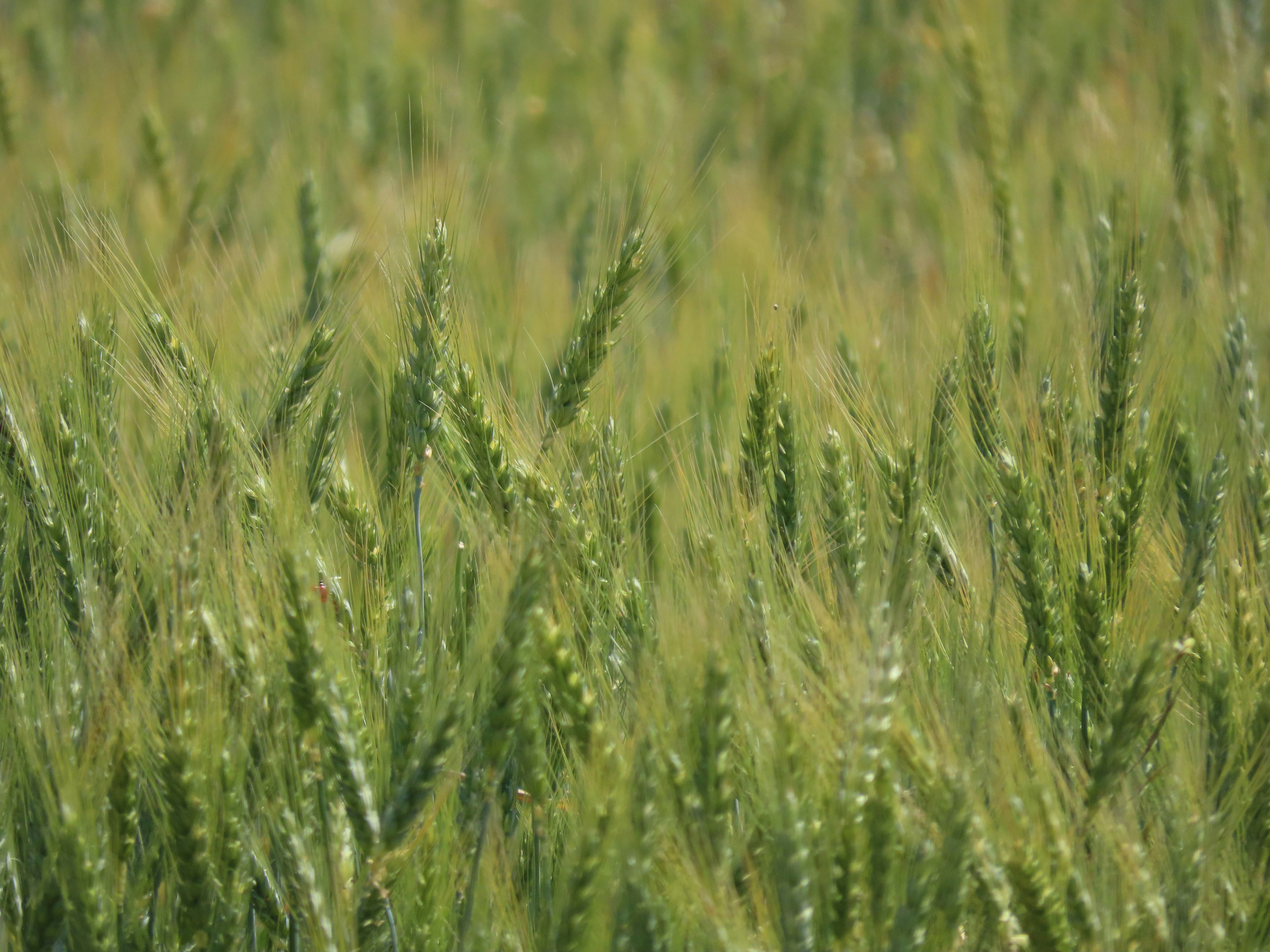 Photo by nsokolov114