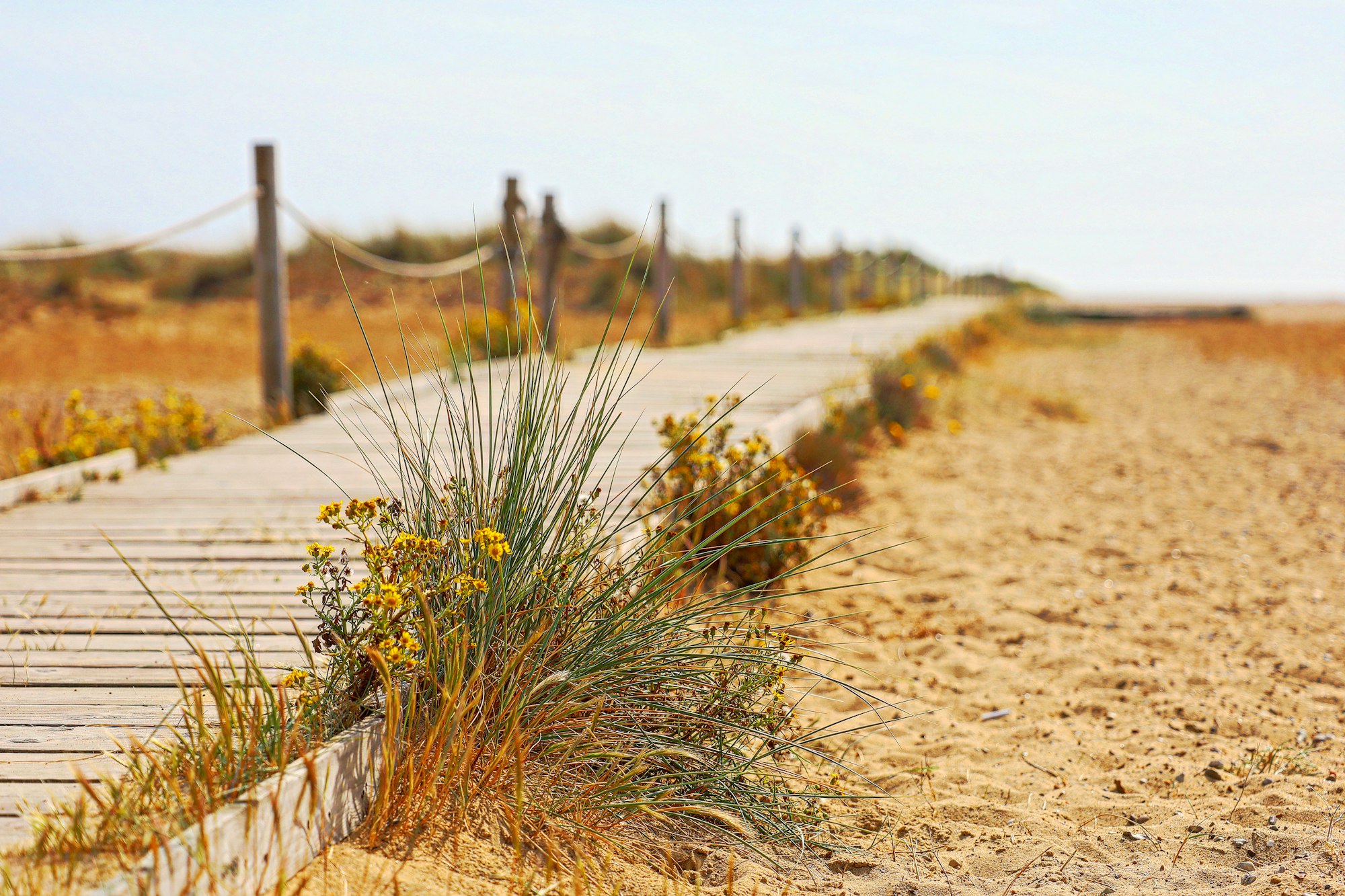 The Top 4 Beaches in Norfolk, England