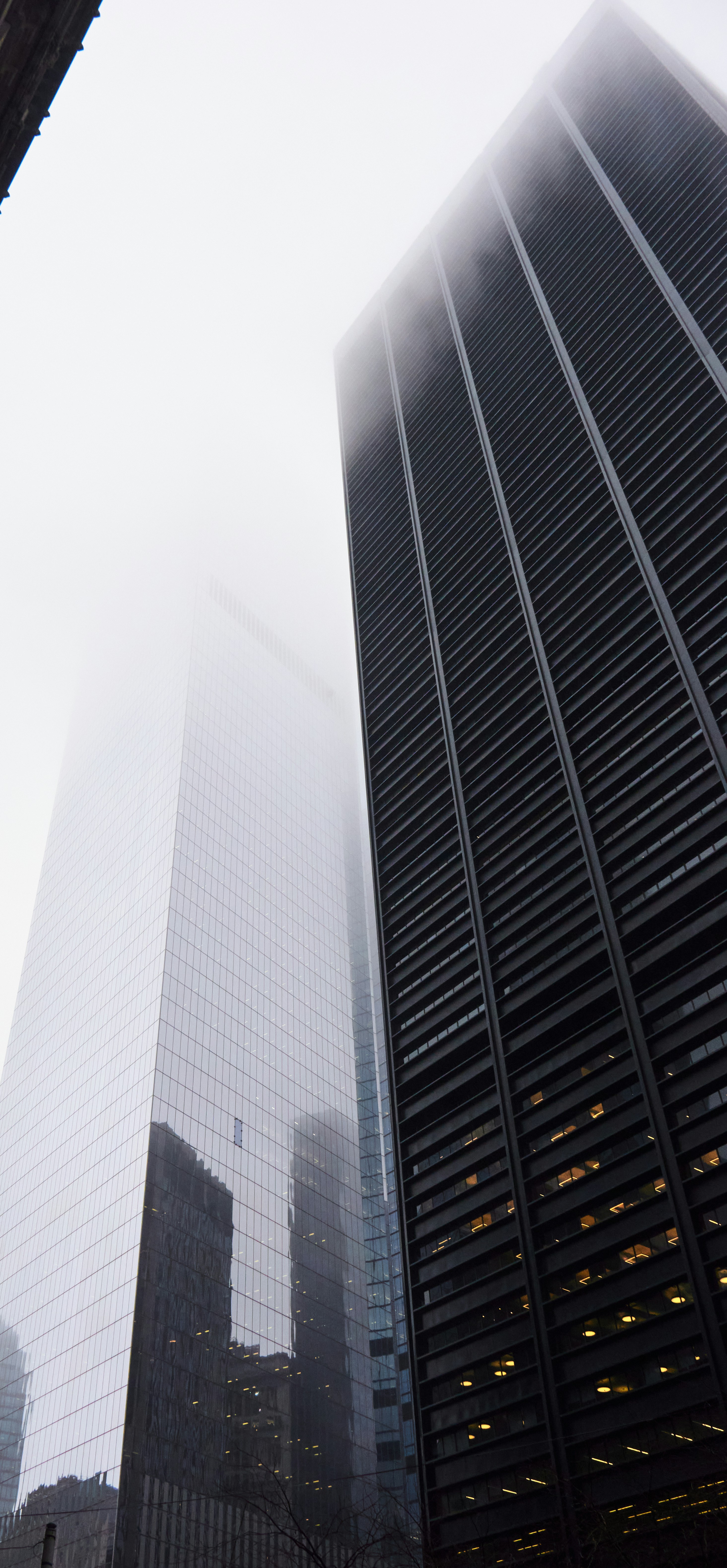 Photo by kevinmartinjose