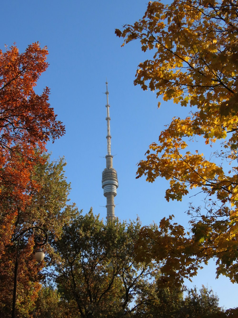 a tall tower towering over a forest filled with trees