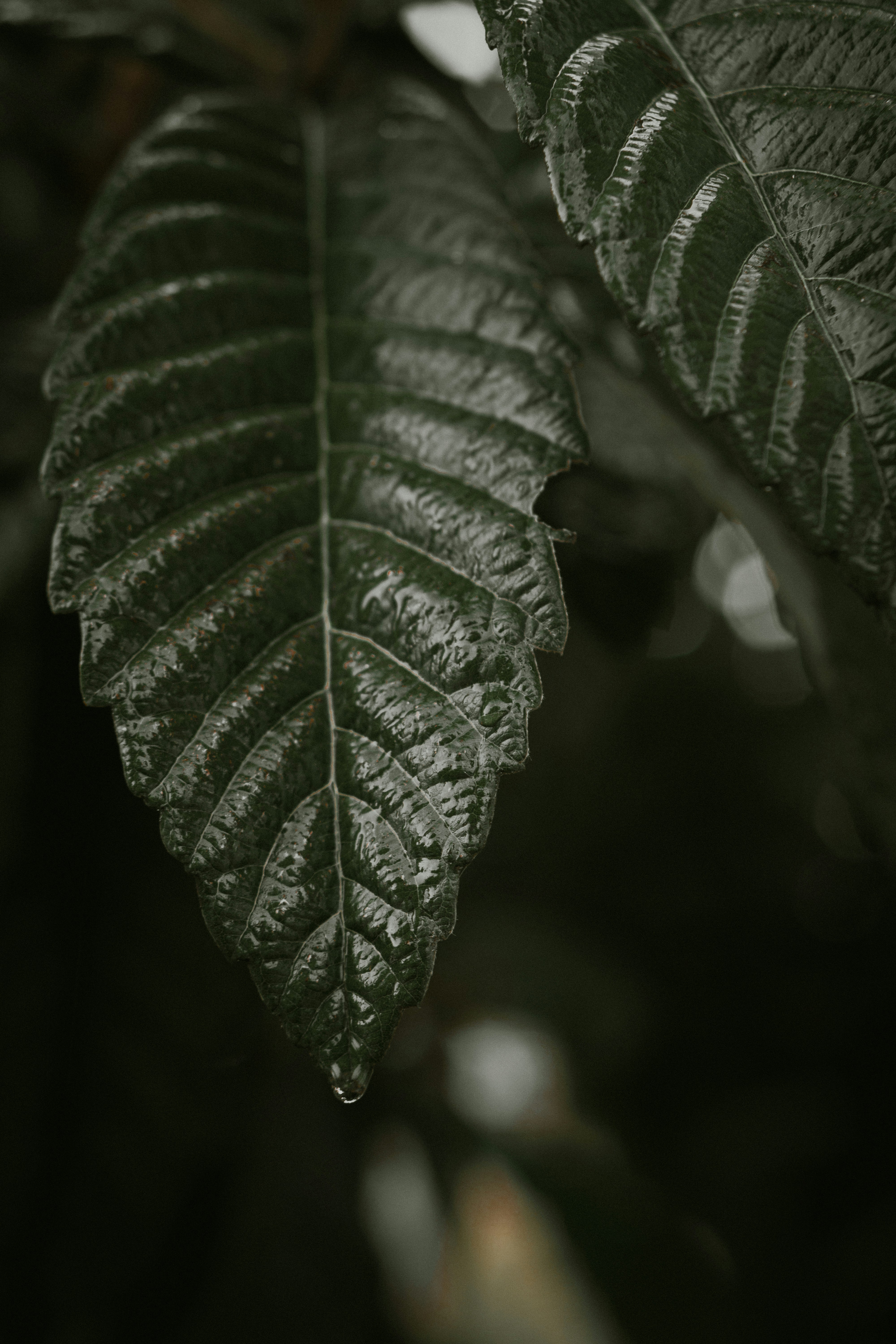 Photo by contentbyemile