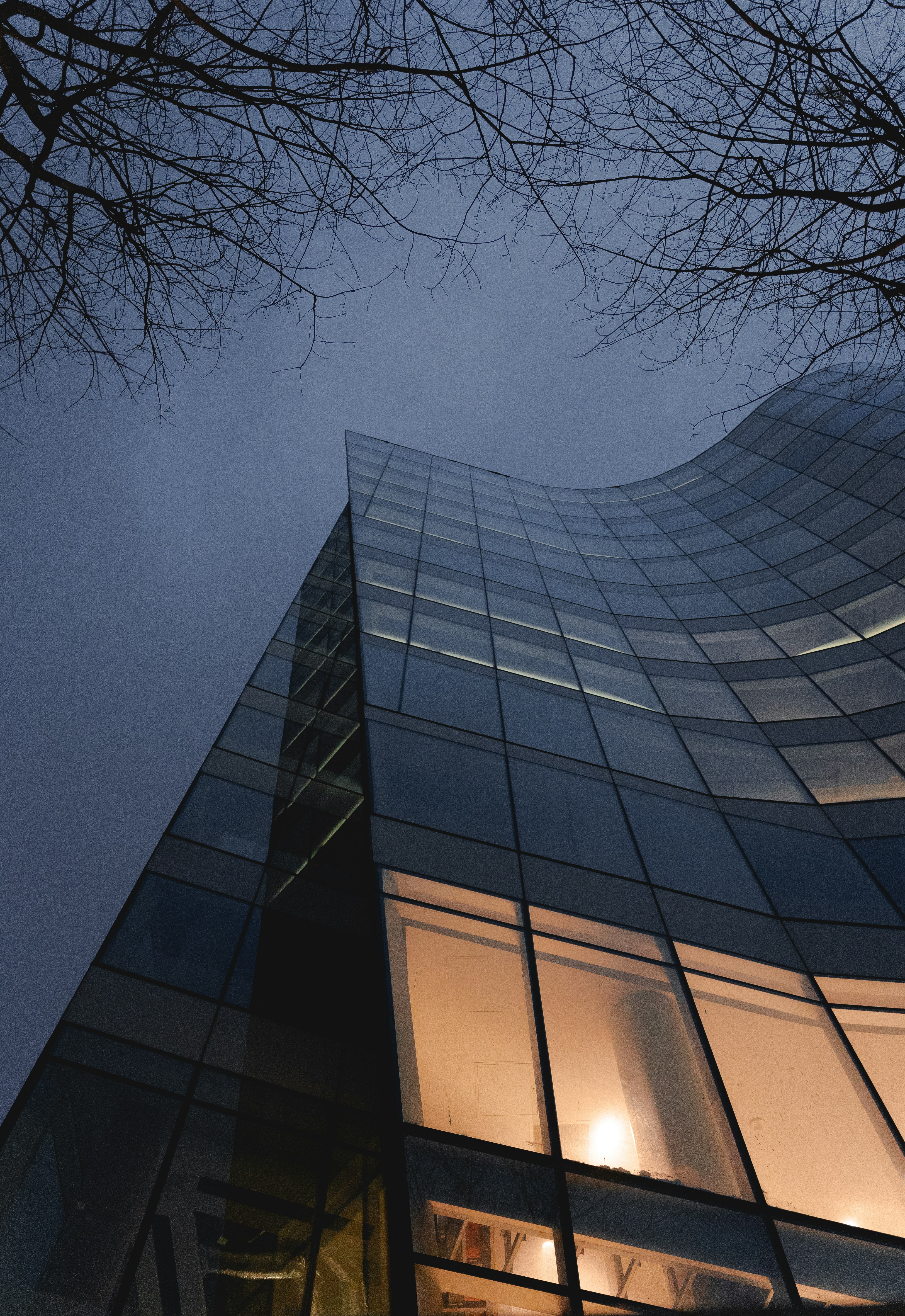 Photo by willianjusten