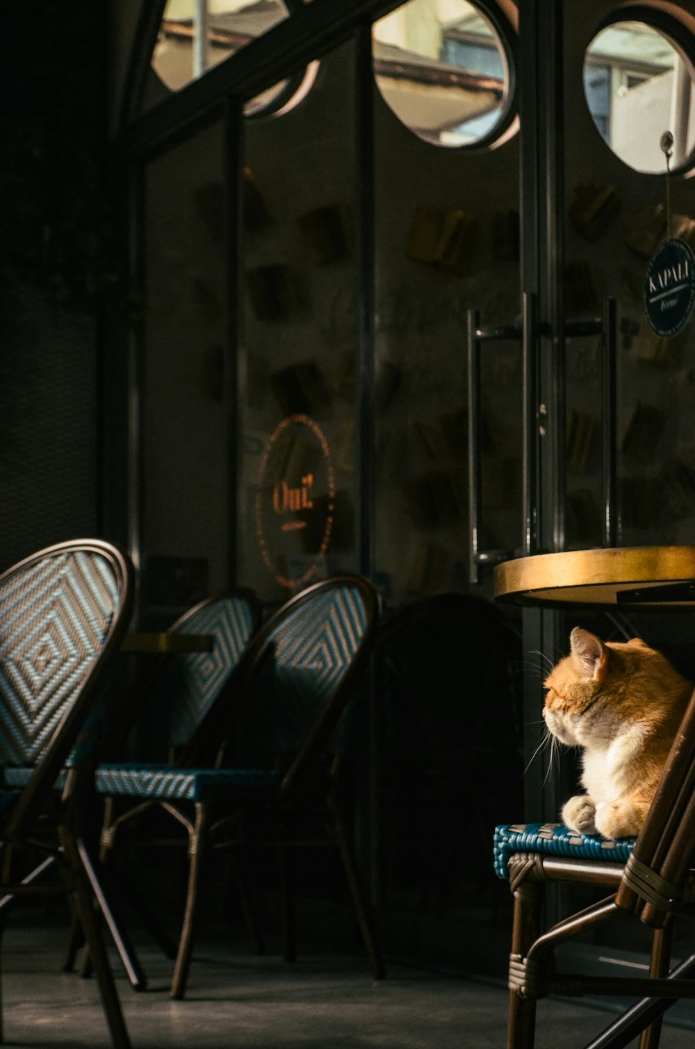 an orange and white cat sitting on top of a blue chair