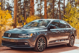 a silver car parked in front of a forest