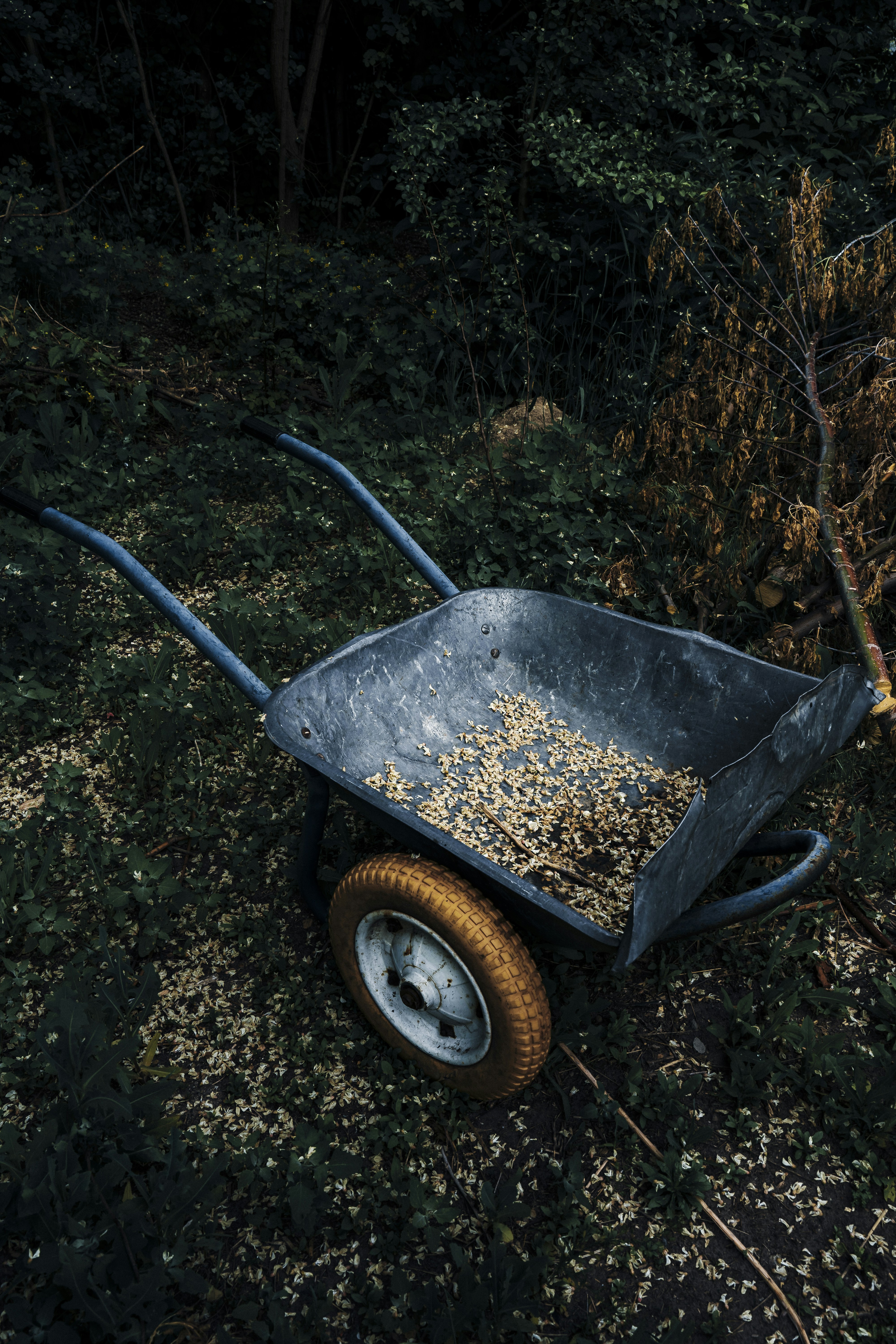 Photo by maksym_tymchyk