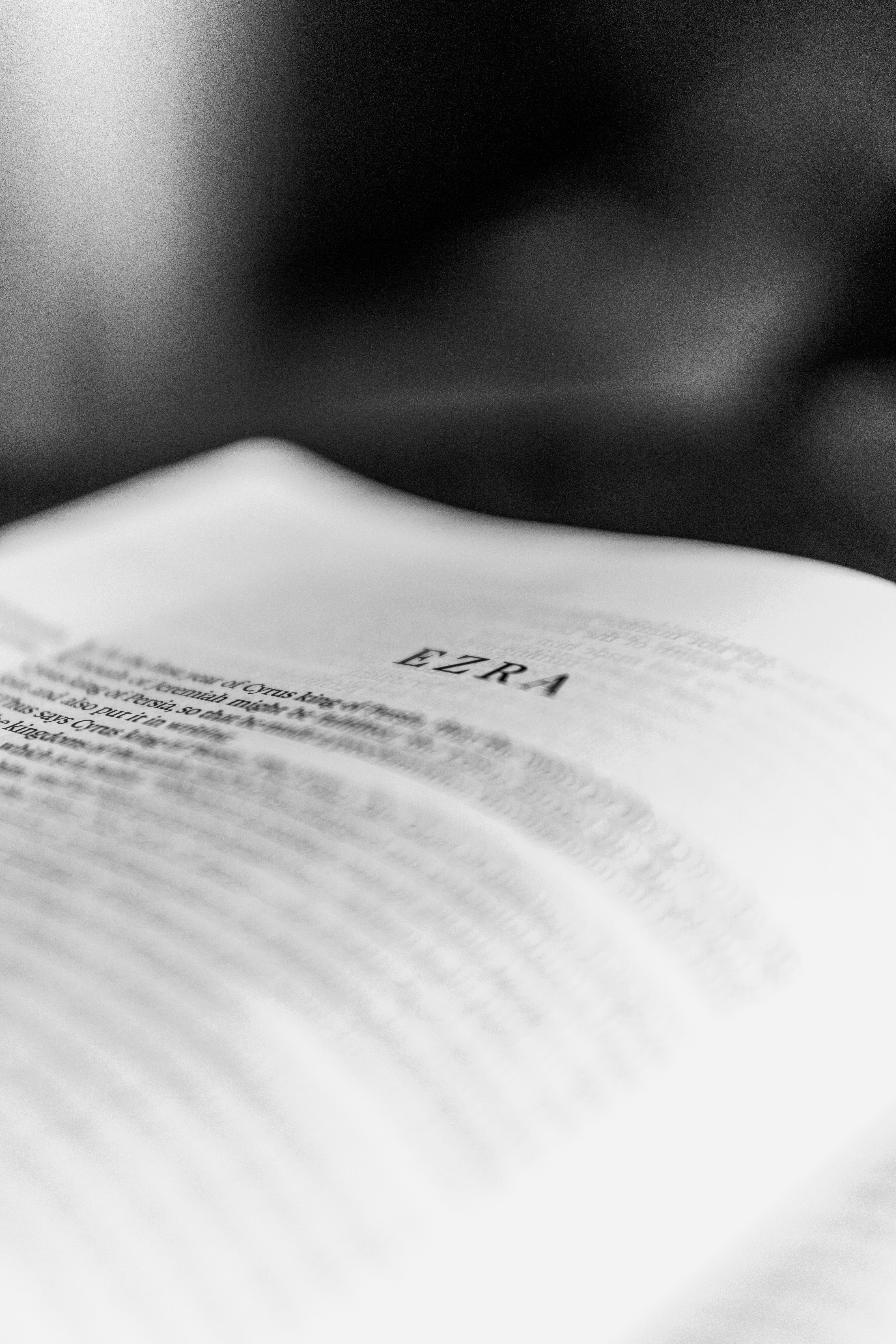 Photo by mrgreatheart