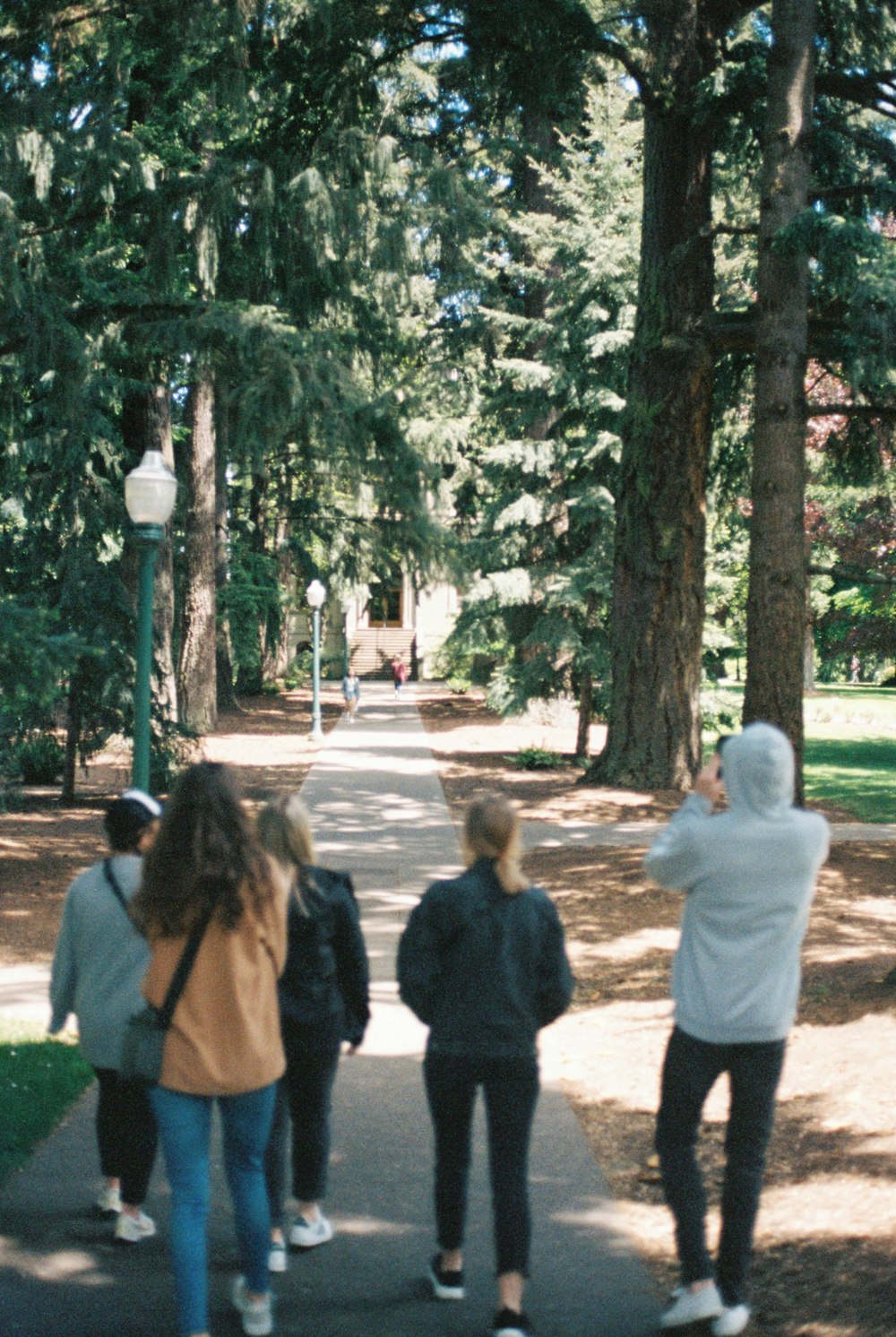 a group of people walking down a sidewalk in a park