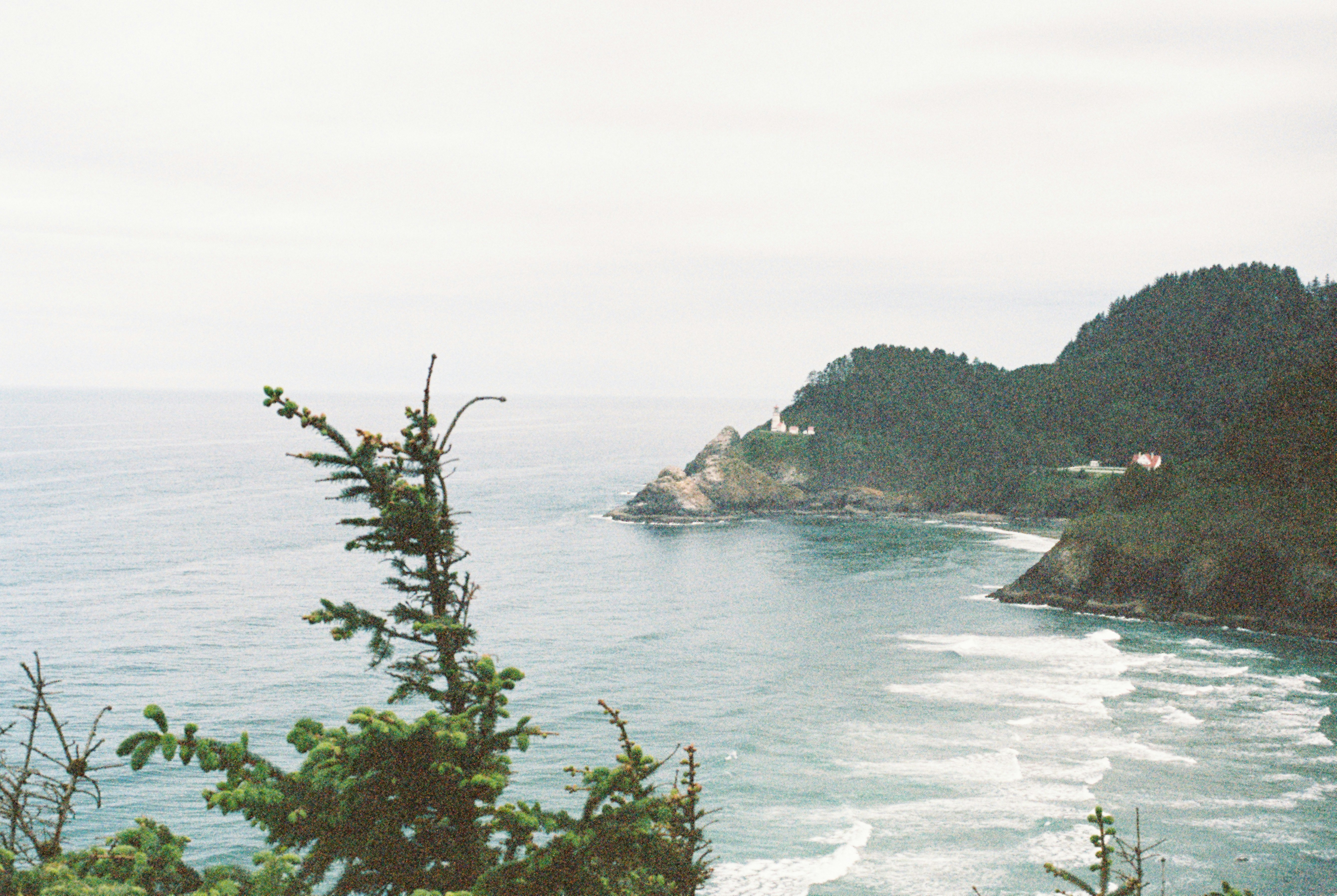 Photo by davispatton