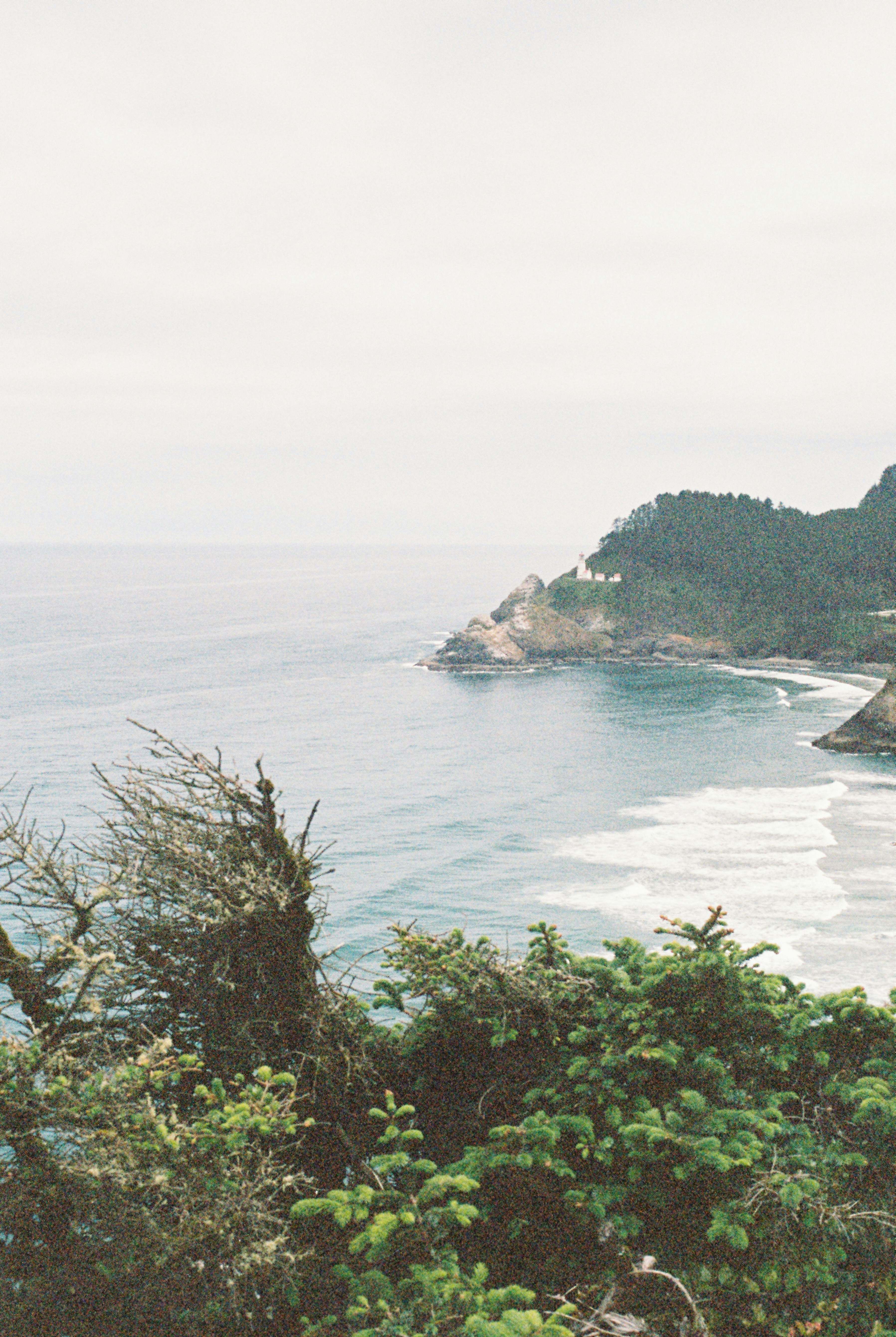 Photo by davispatton