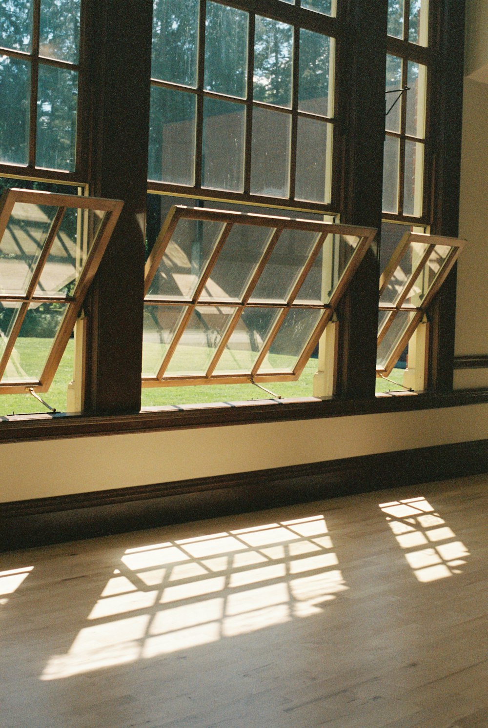 a cat sitting on the floor in front of a window