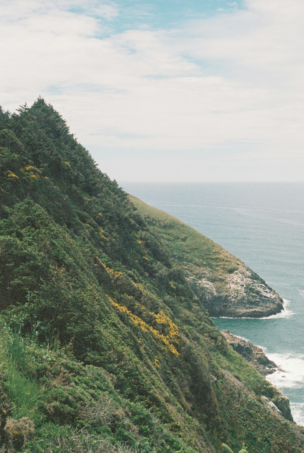 a grassy hill next to a body of water