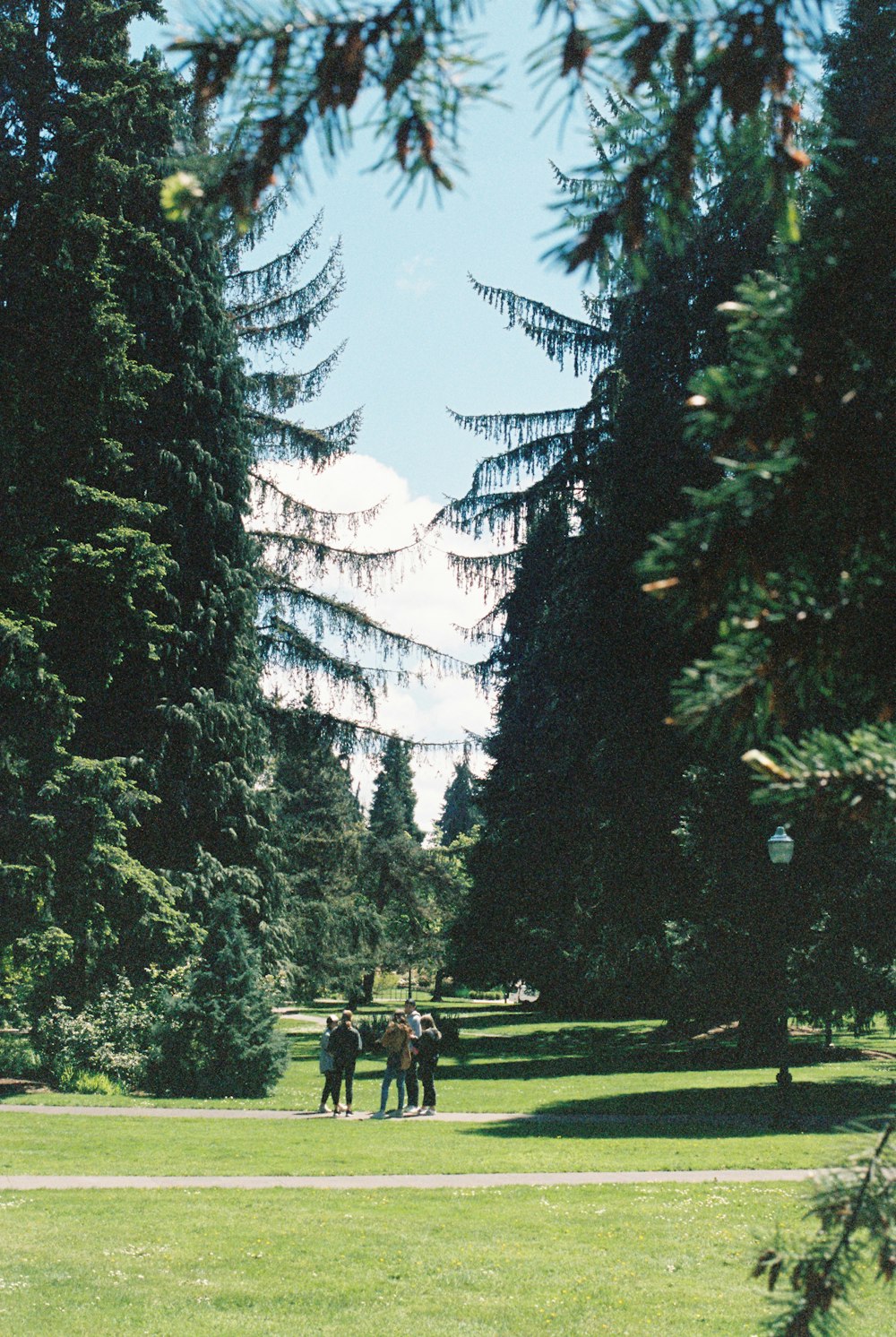 a group of people standing on top of a lush green field