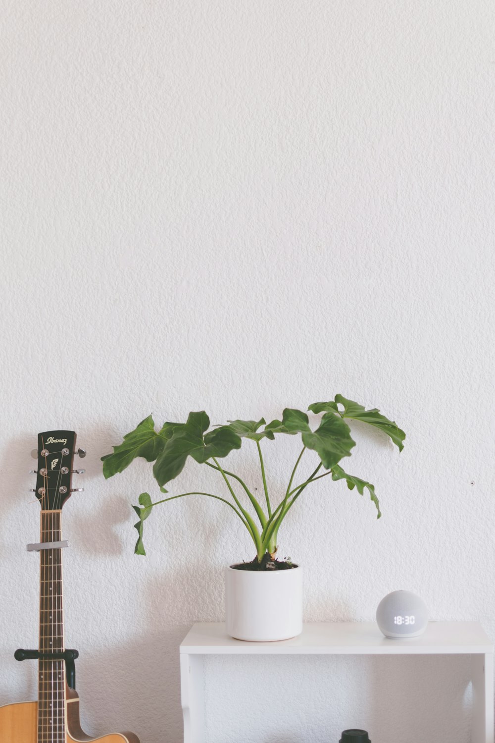 a white shelf with a guitar and a potted plant